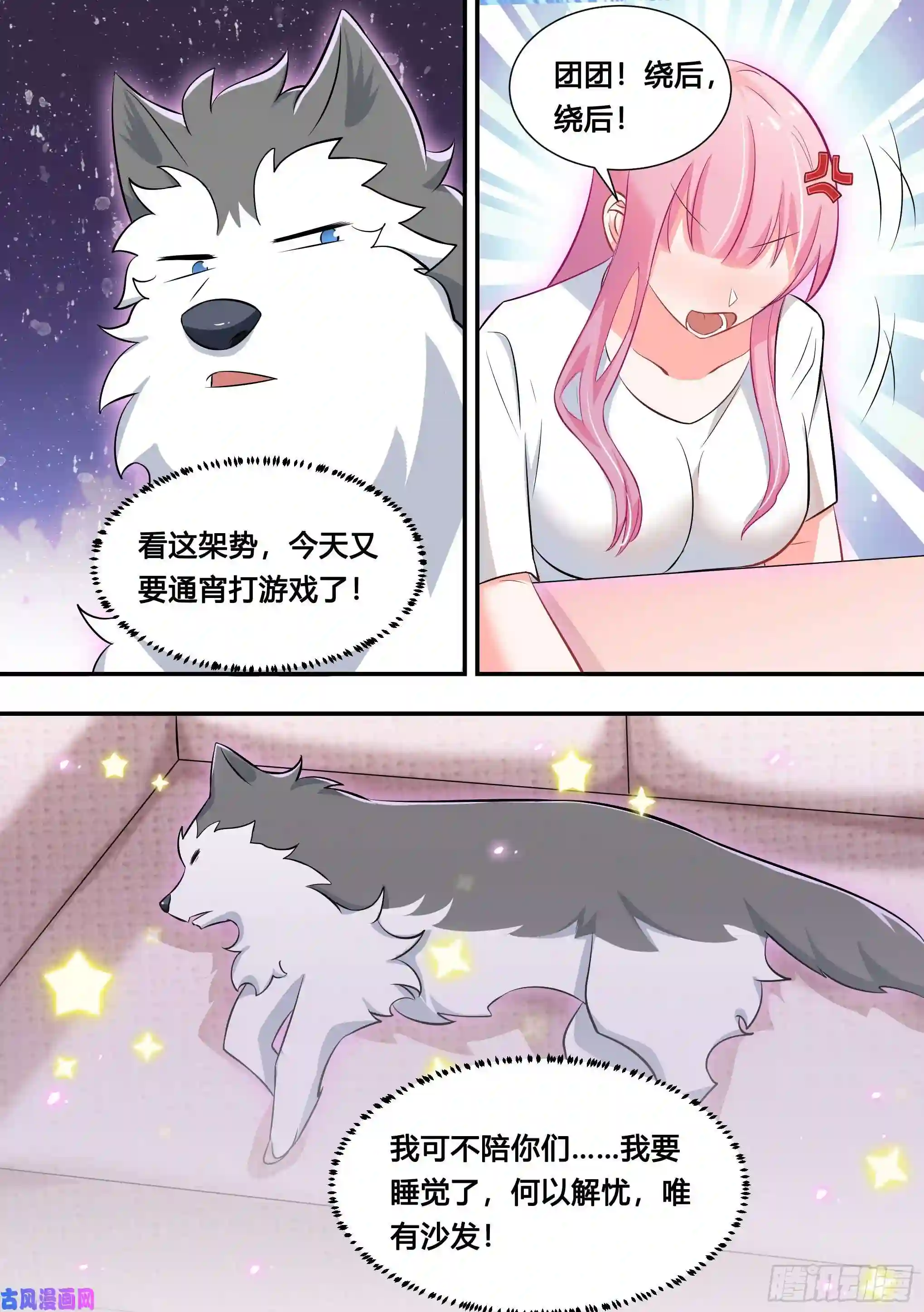 直播：女神家的哈士奇天秀109-粉丝破千万了！