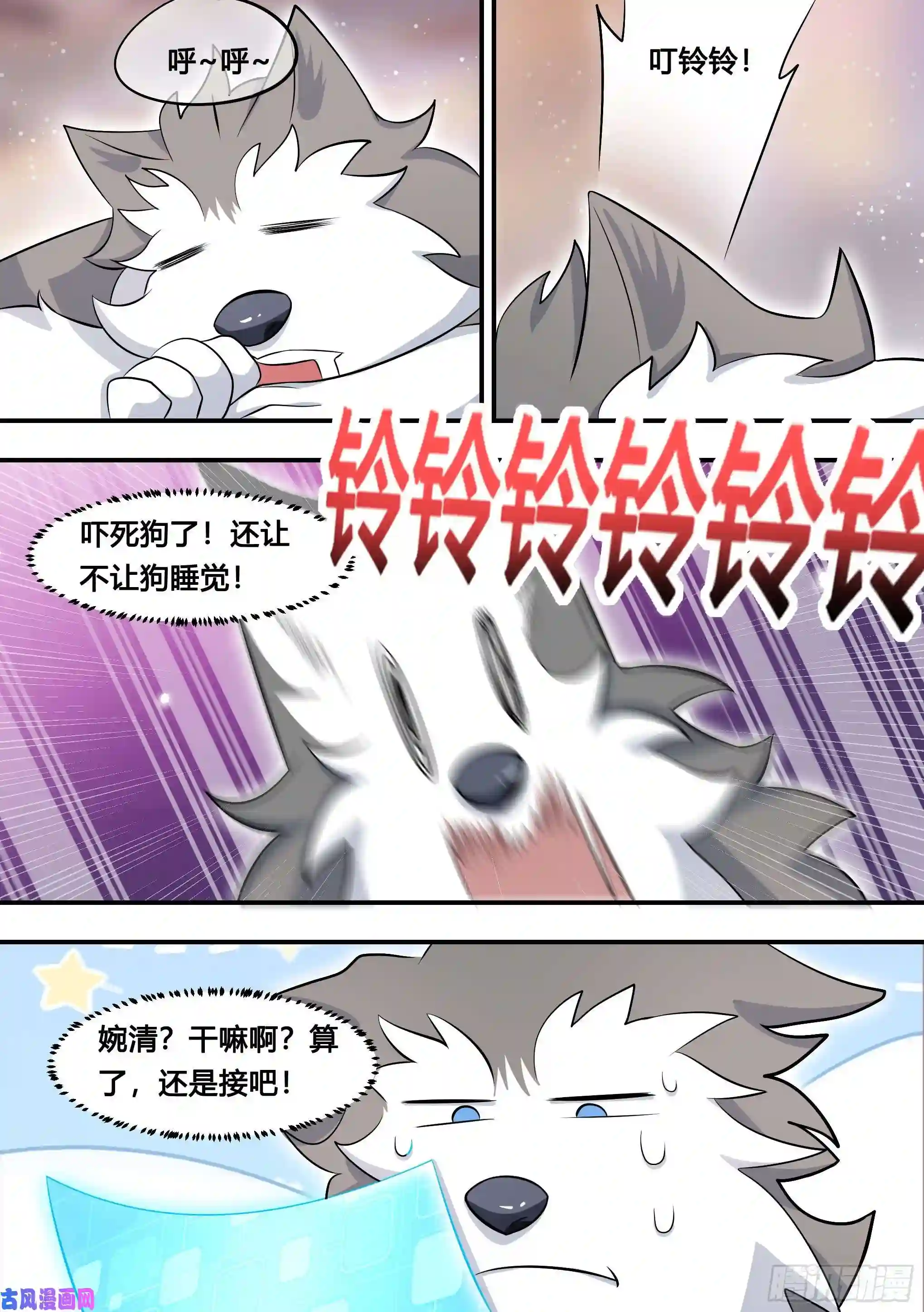 直播：女神家的哈士奇天秀110-突然想起我有个房子