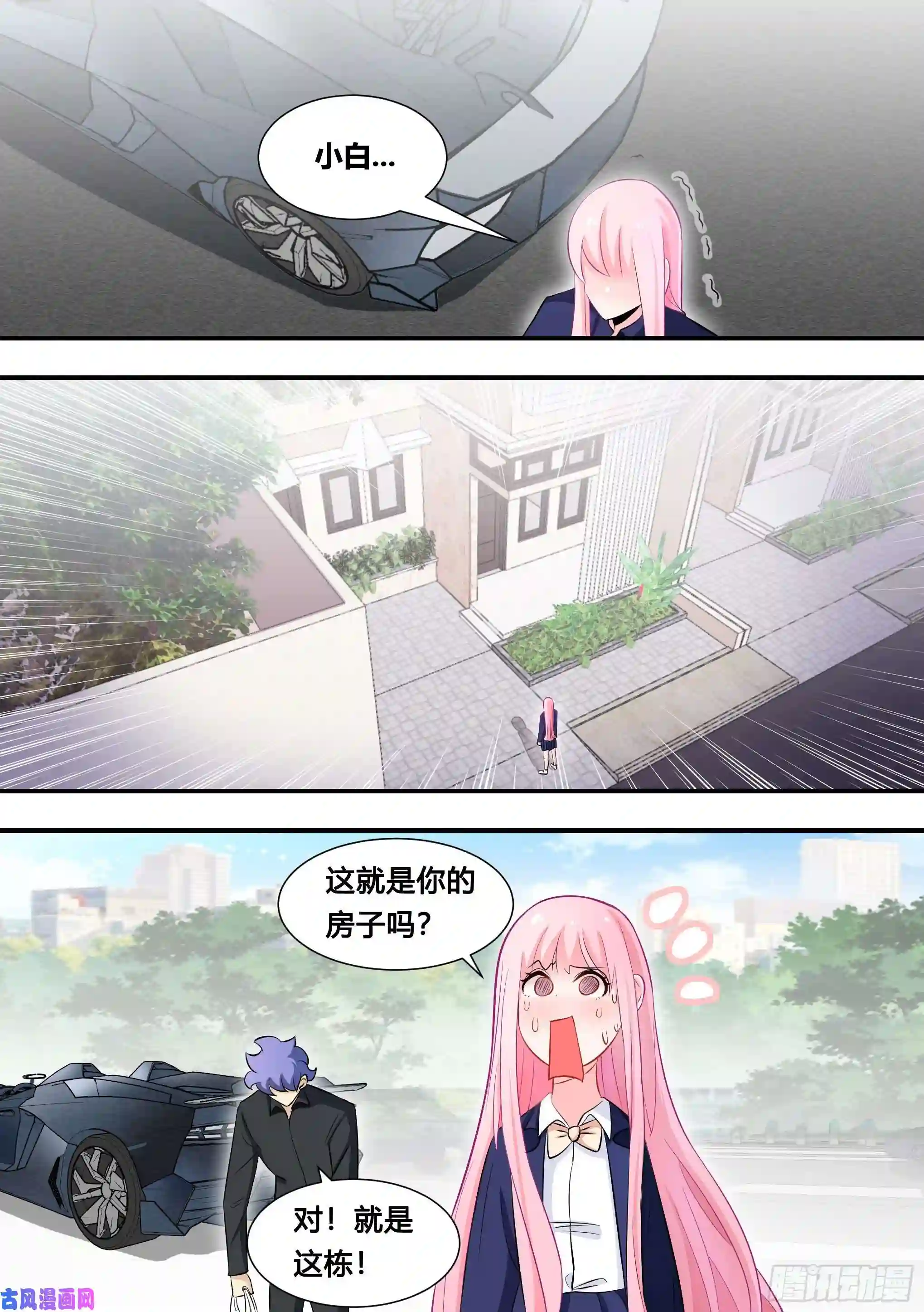 直播：女神家的哈士奇天秀111-你车上有其他女人的头发