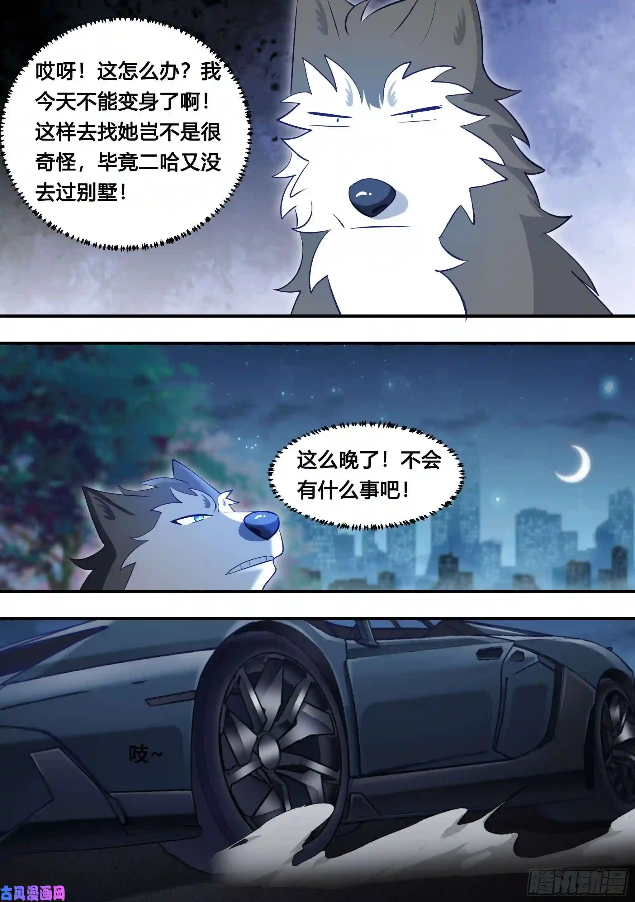 直播：女神家的哈士奇天秀114-分身乏术啊…