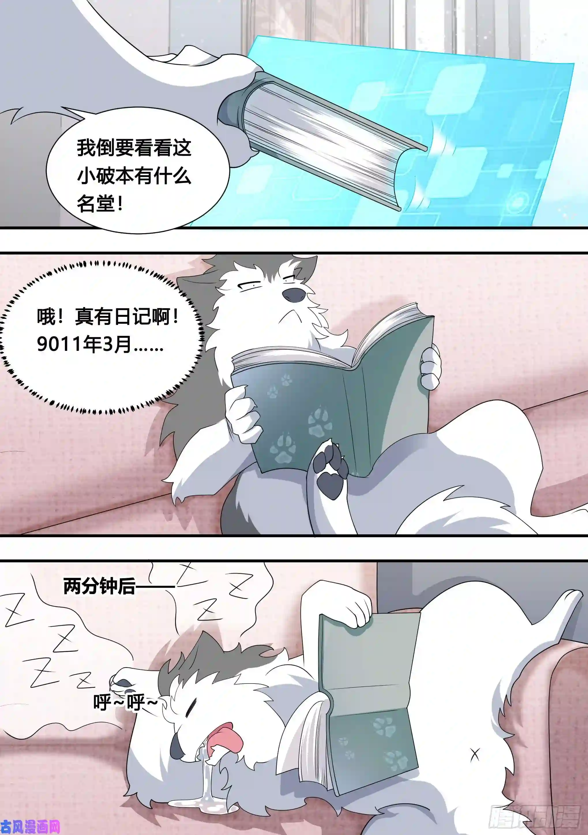 直播：女神家的哈士奇天秀115-聚会不如吃炸串