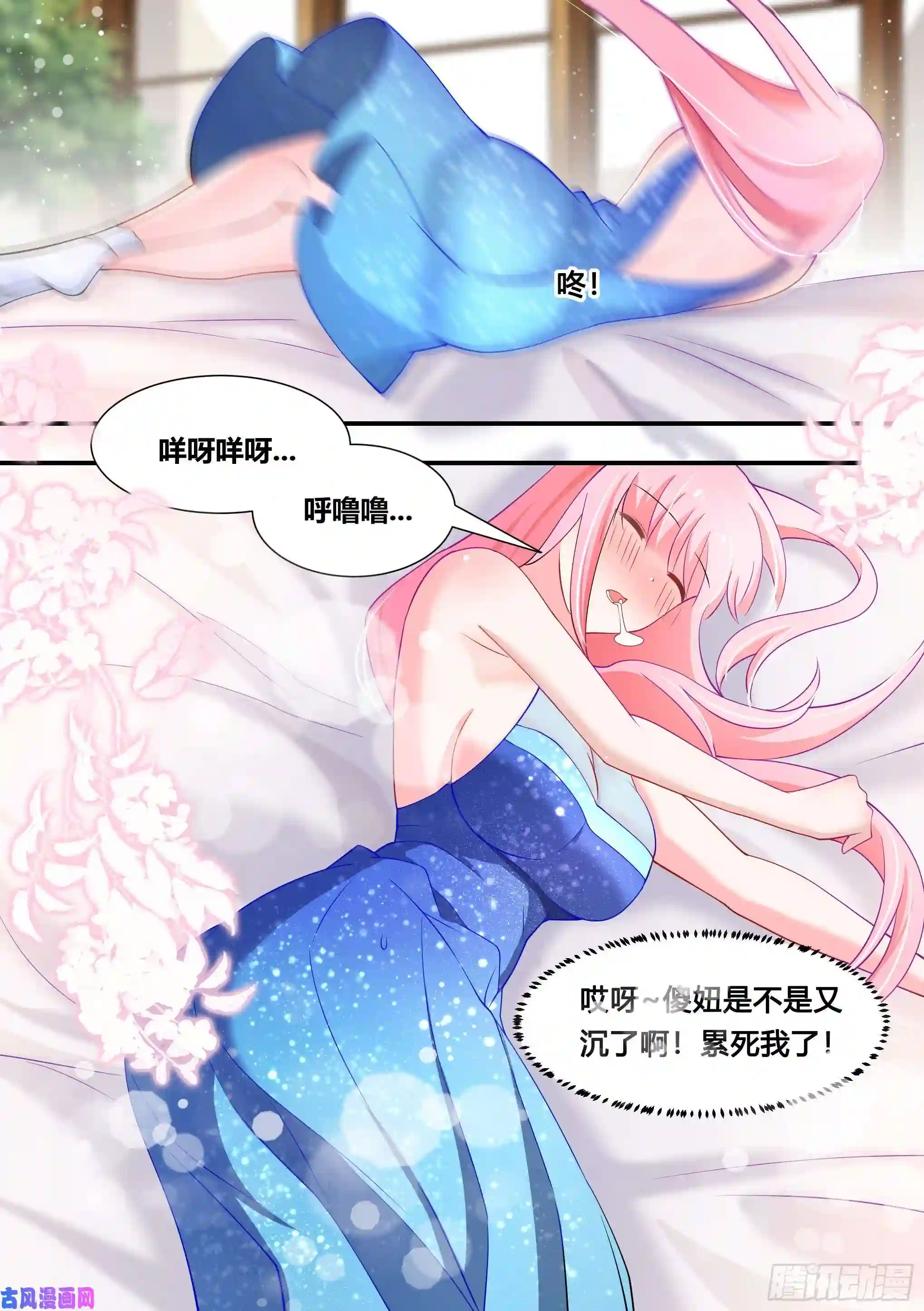 直播：女神家的哈士奇天秀117-是我没照顾好你