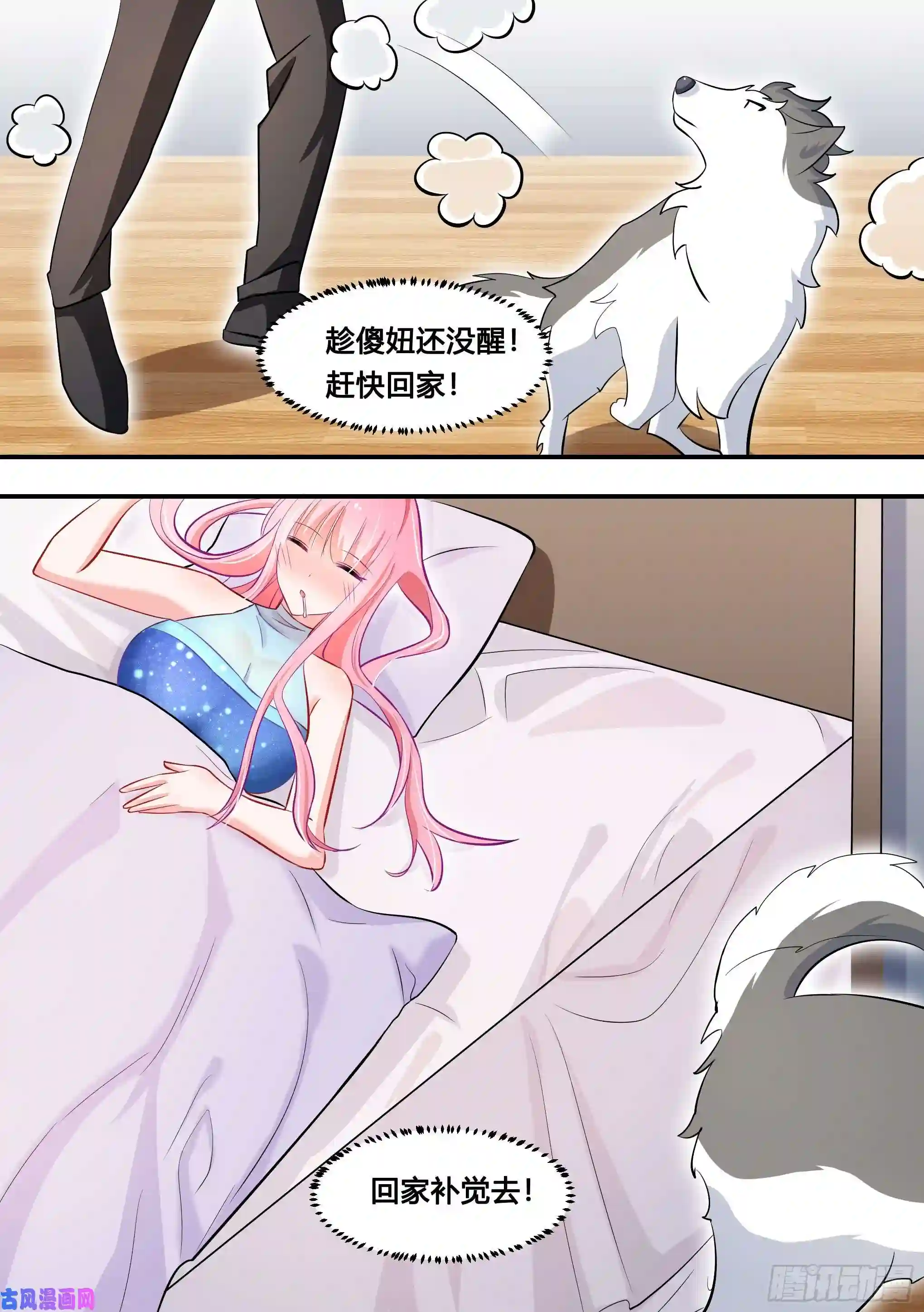 直播：女神家的哈士奇天秀118-汽车专利技术