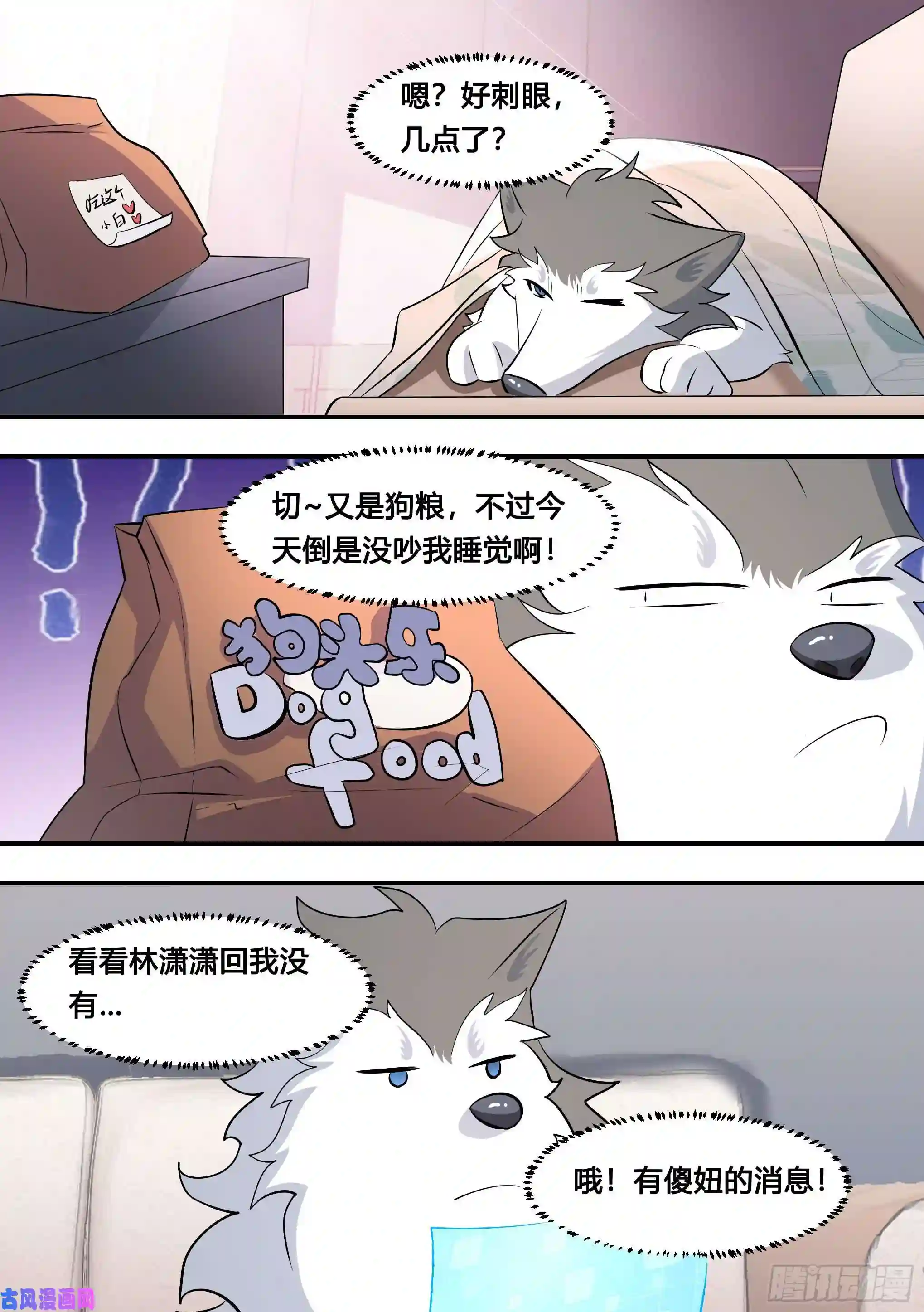 直播：女神家的哈士奇天秀119-酒吧会面