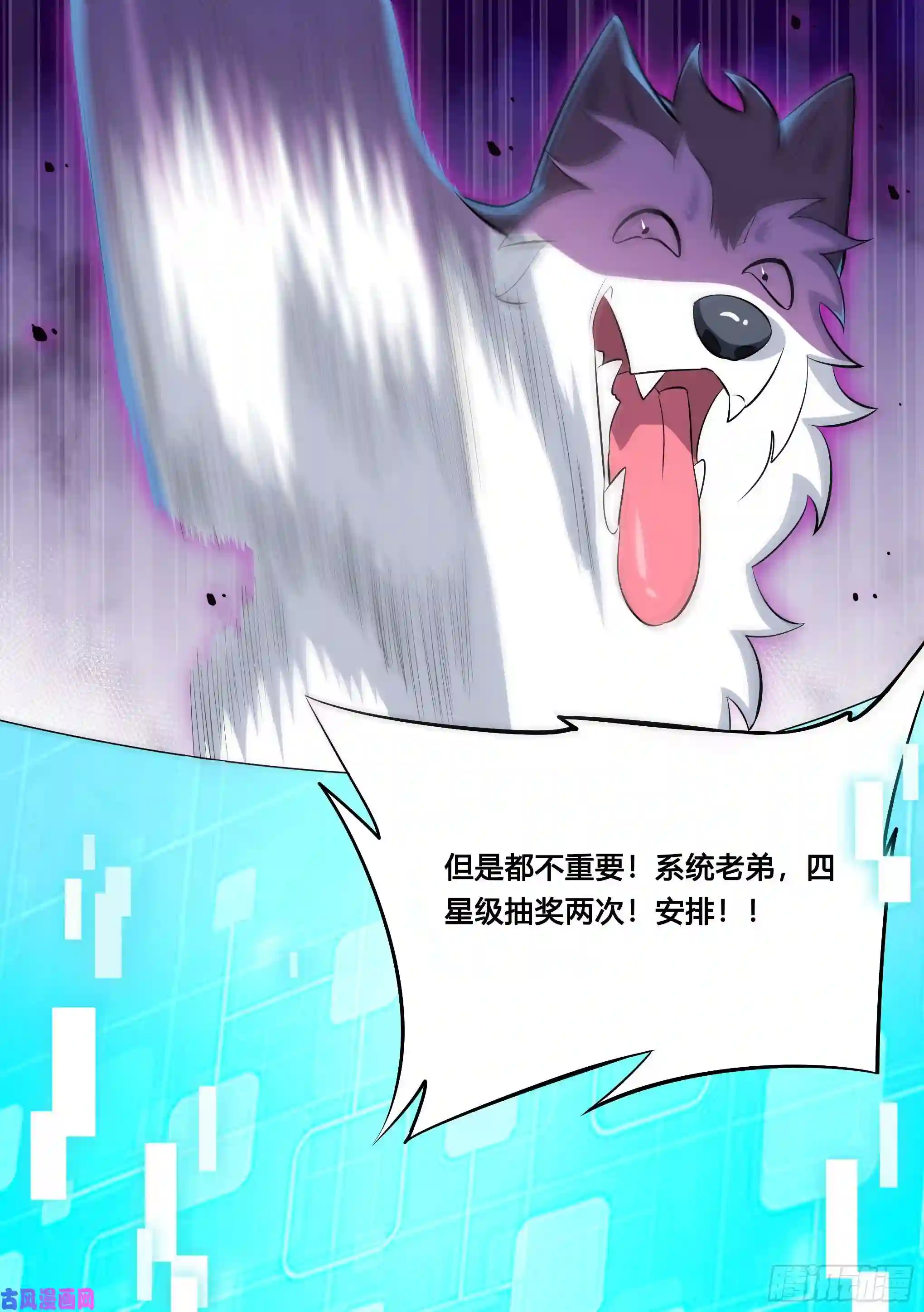 直播：女神家的哈士奇天秀121-直播间来新人了！