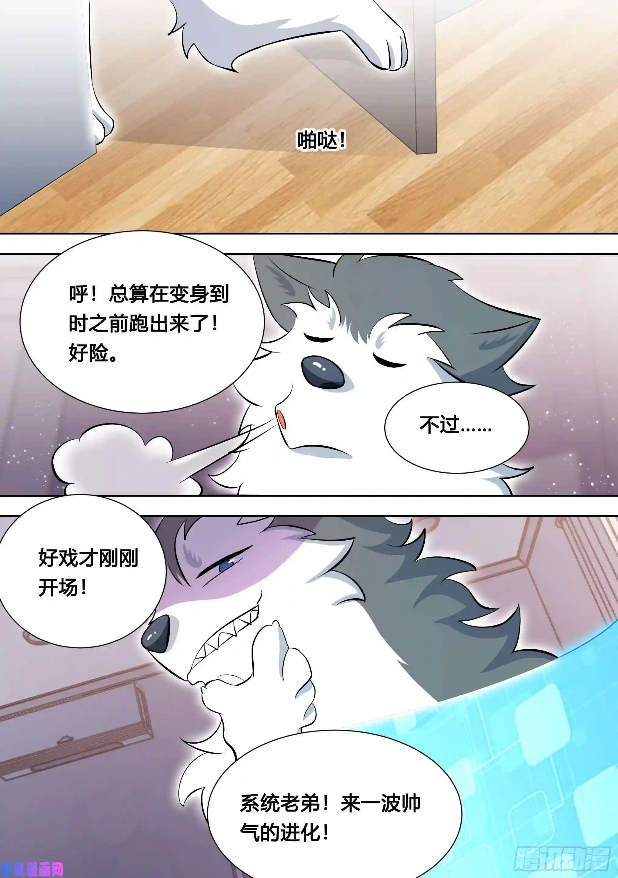 直播：女神家的哈士奇天秀121-直播间来新人了！