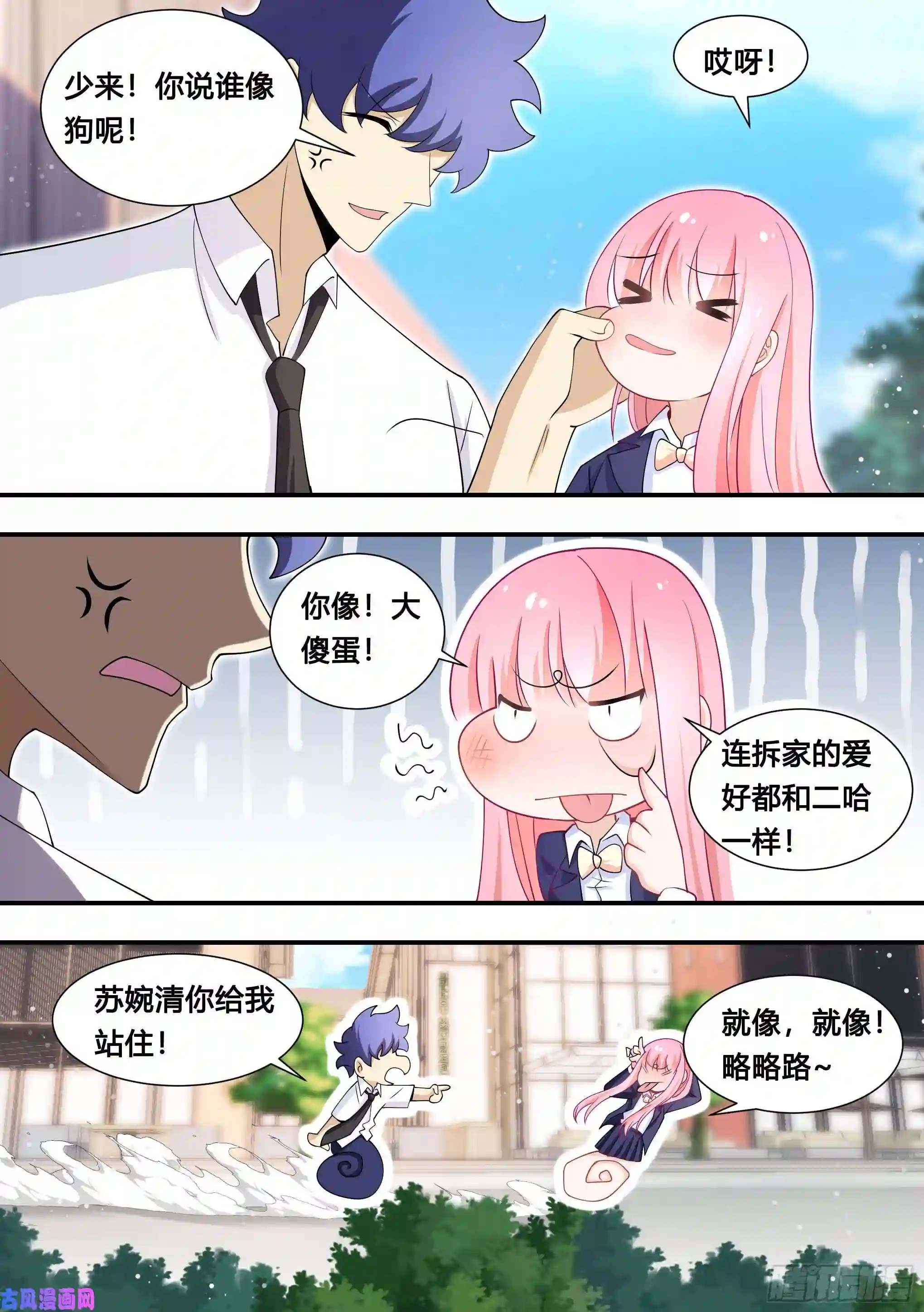 直播：女神家的哈士奇天秀125-正好拿你试试身手