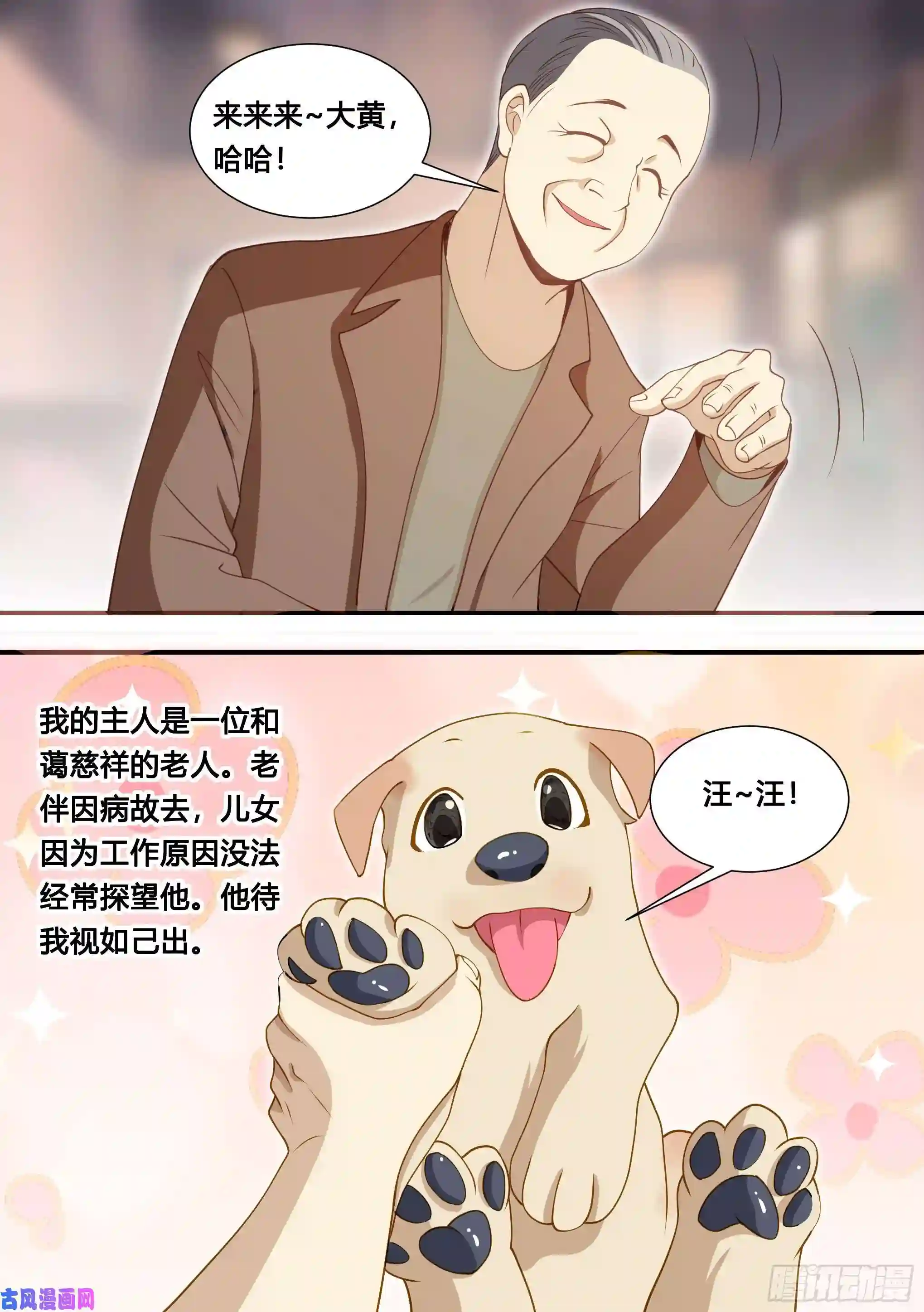 直播：女神家的哈士奇天秀127-流浪狗的苦难生活