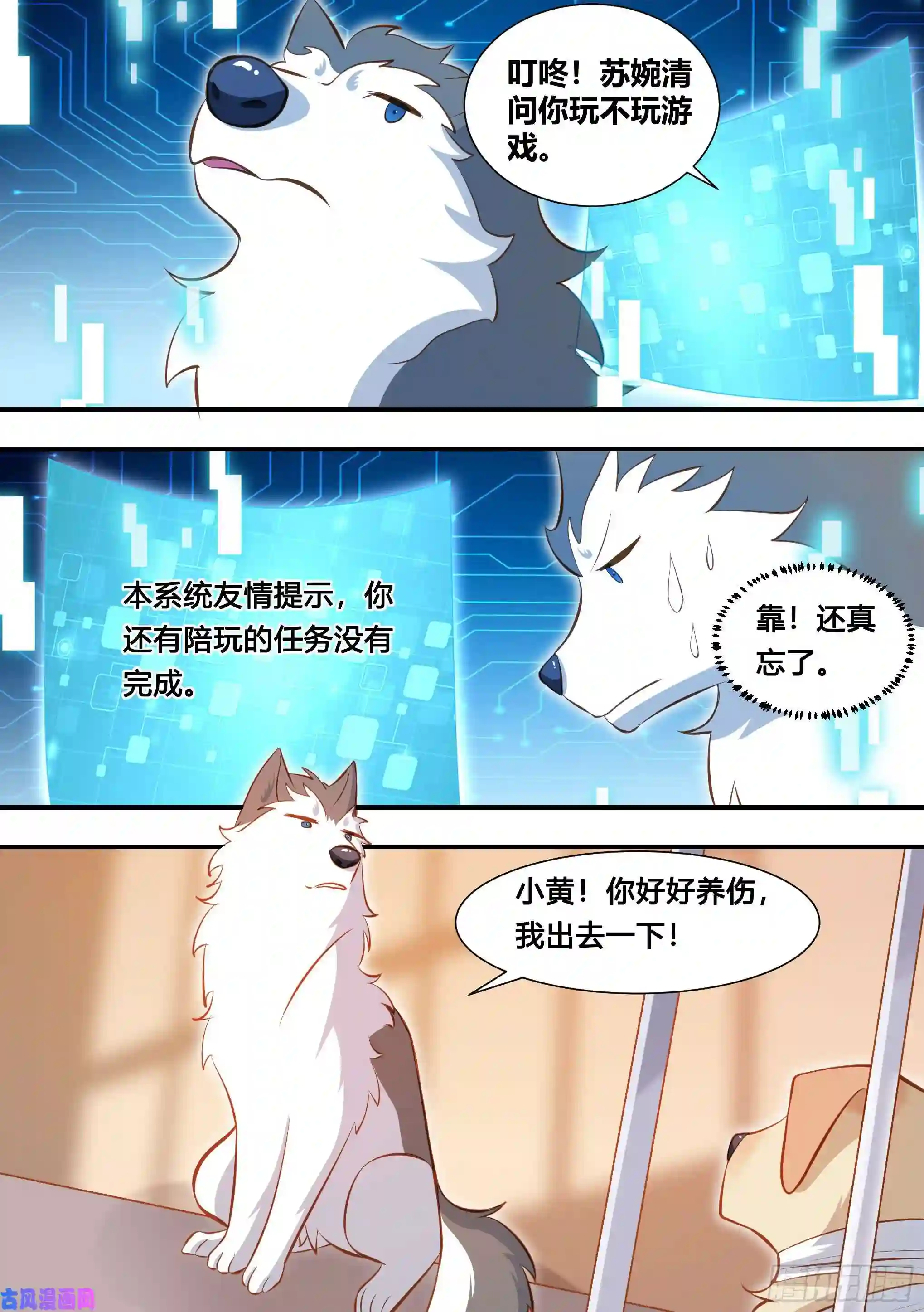 直播：女神家的哈士奇天秀127-流浪狗的苦难生活