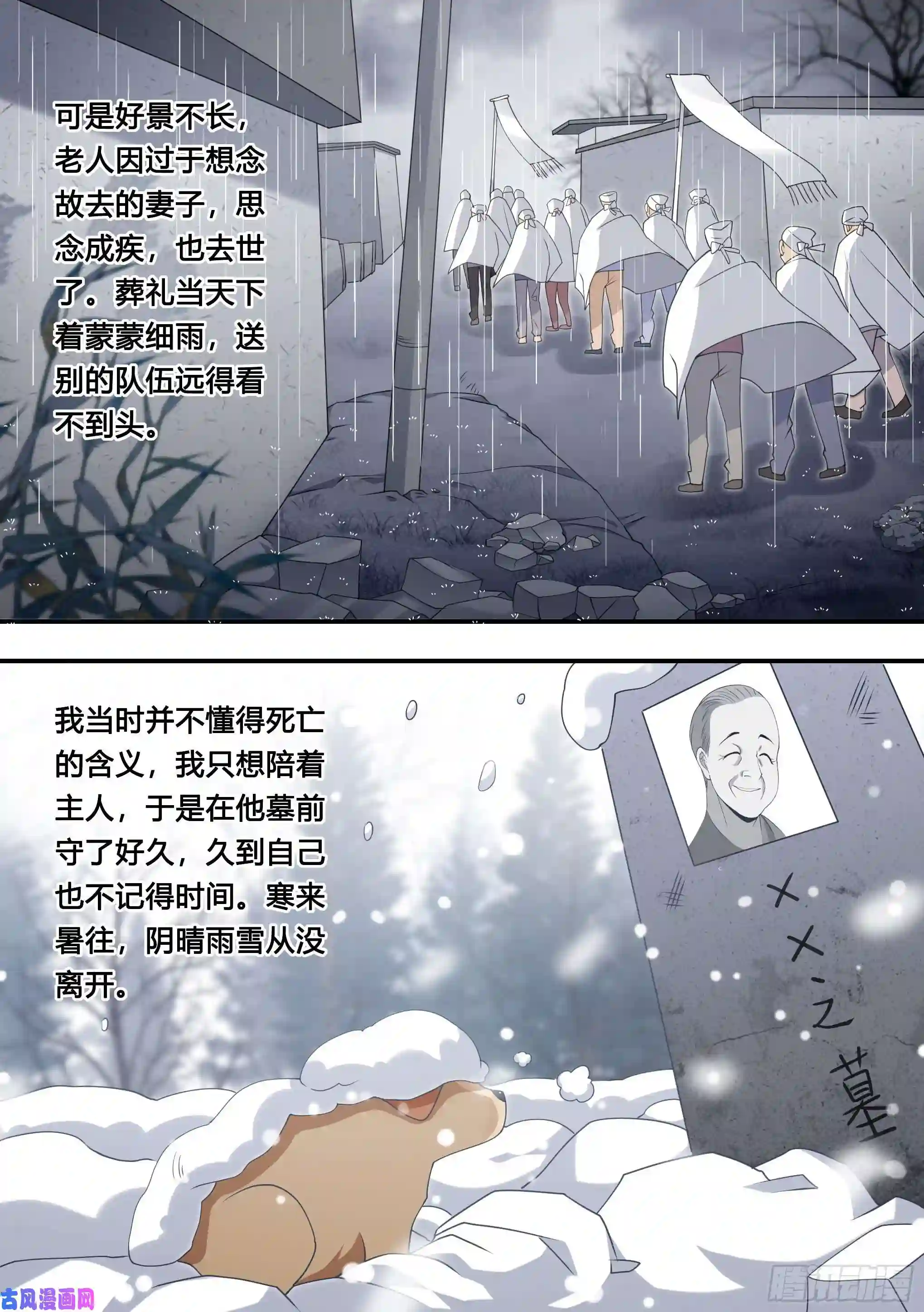 直播：女神家的哈士奇天秀127-流浪狗的苦难生活