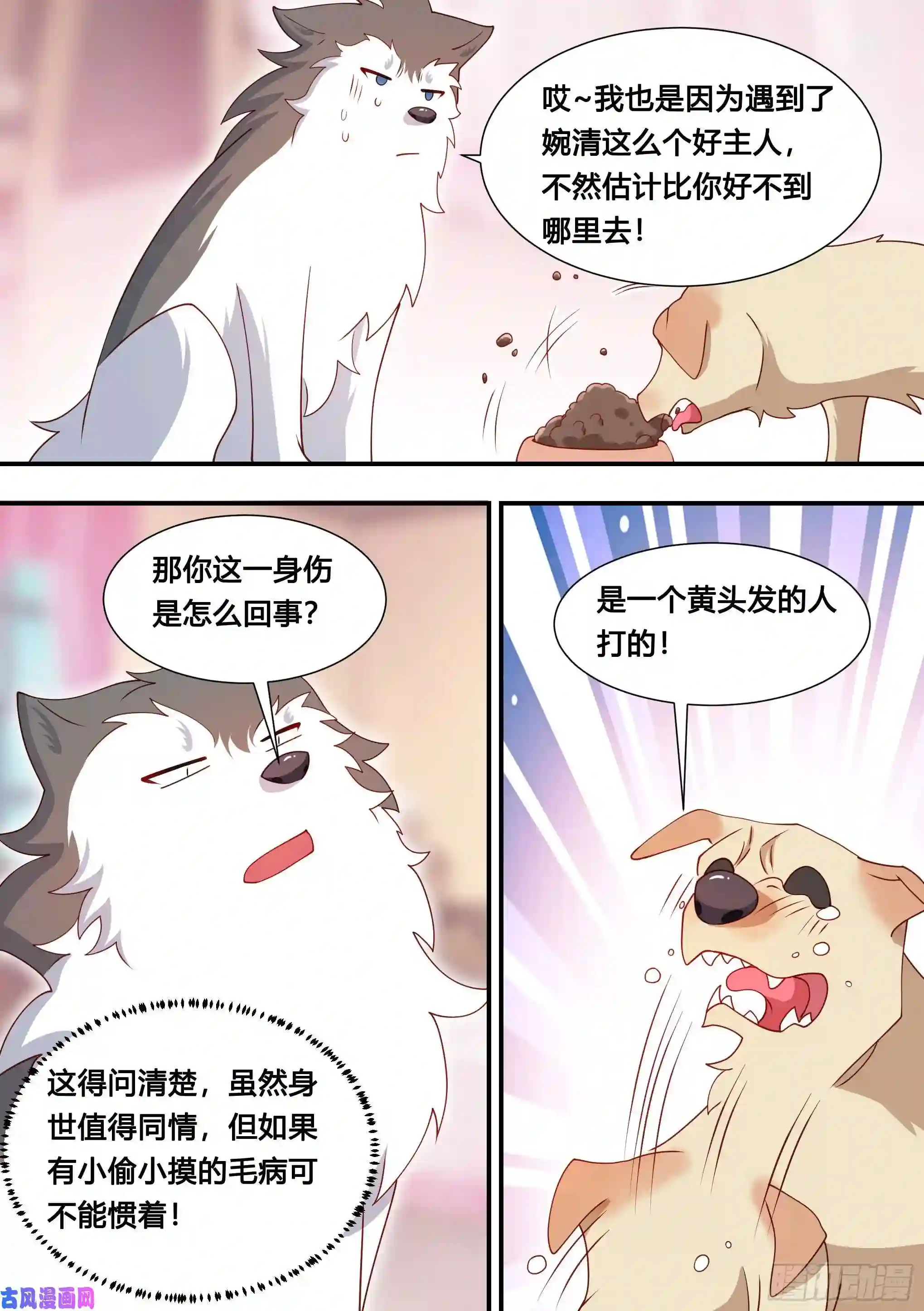 直播：女神家的哈士奇天秀127-流浪狗的苦难生活