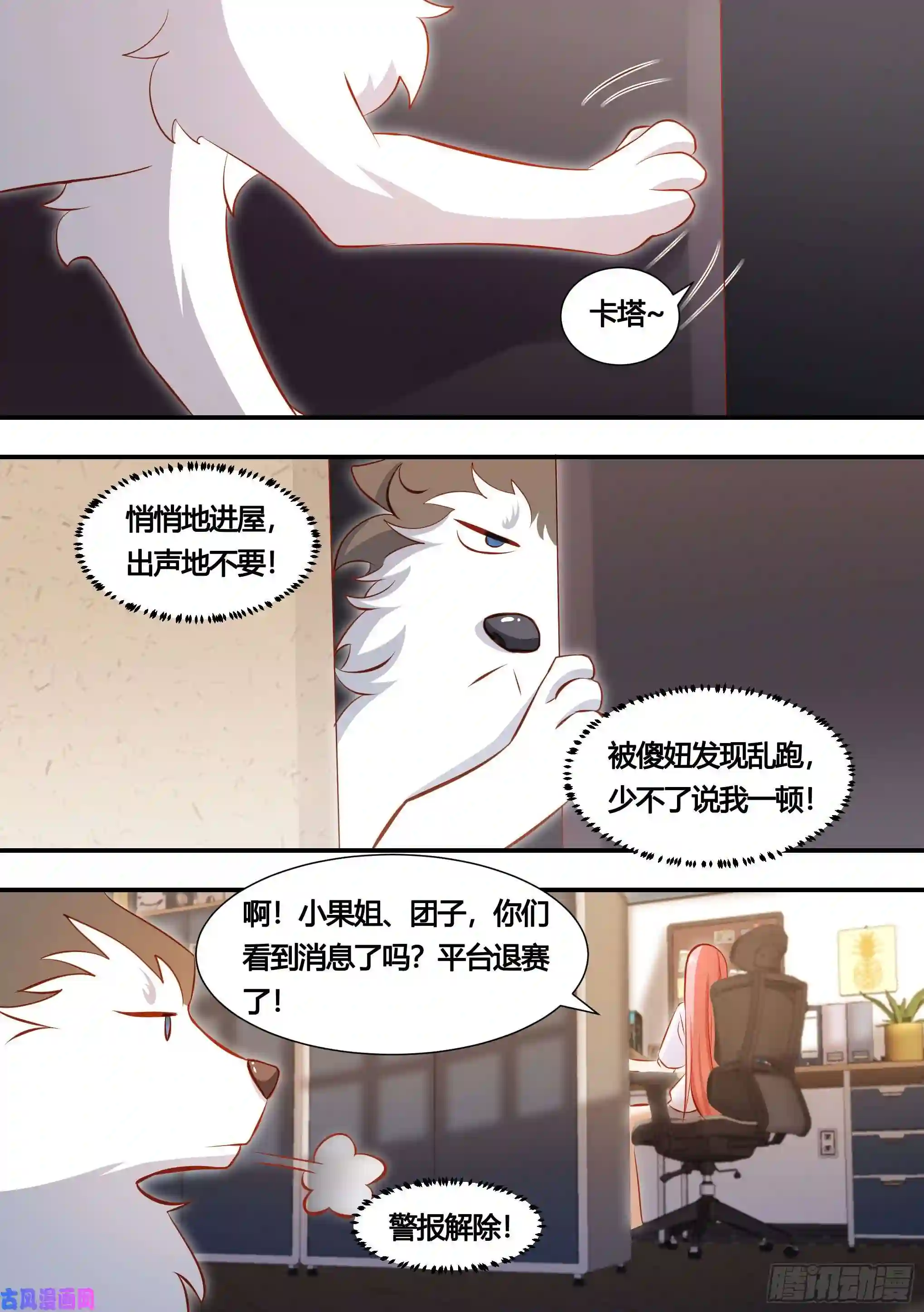 直播：女神家的哈士奇天秀131-麻烦的小萌…