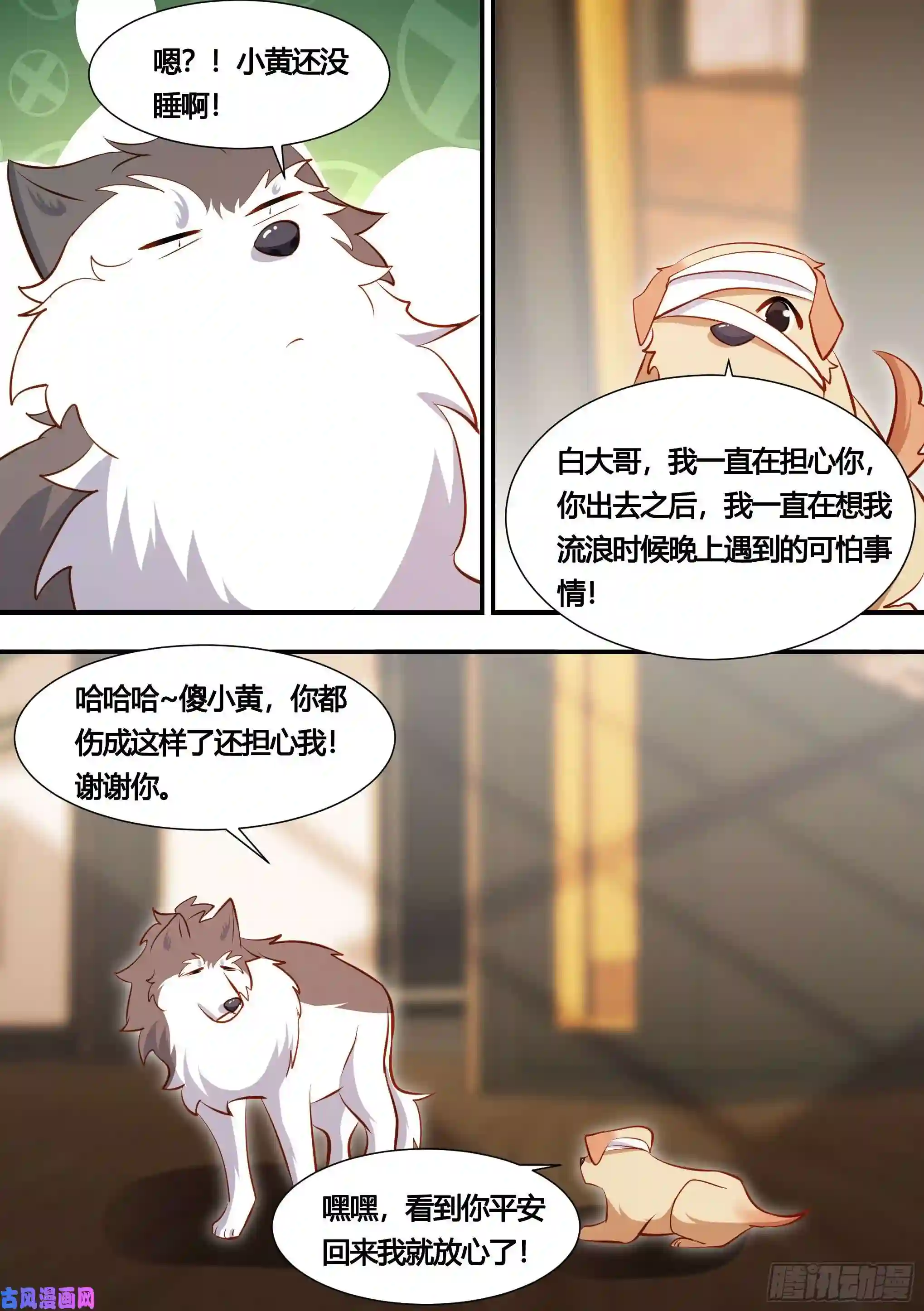 直播：女神家的哈士奇天秀131-麻烦的小萌…