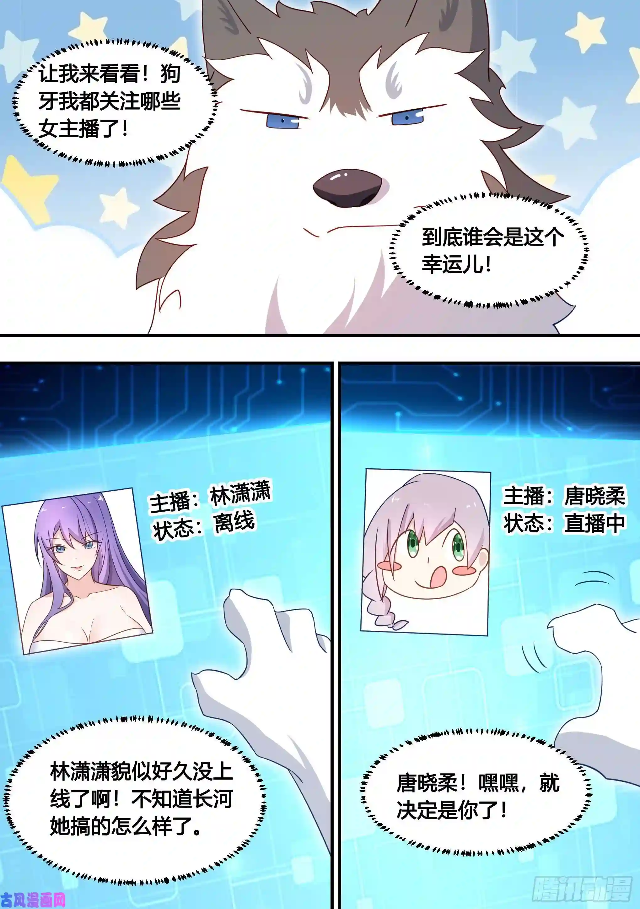 直播：女神家的哈士奇天秀132-小黄你还小，你不懂！