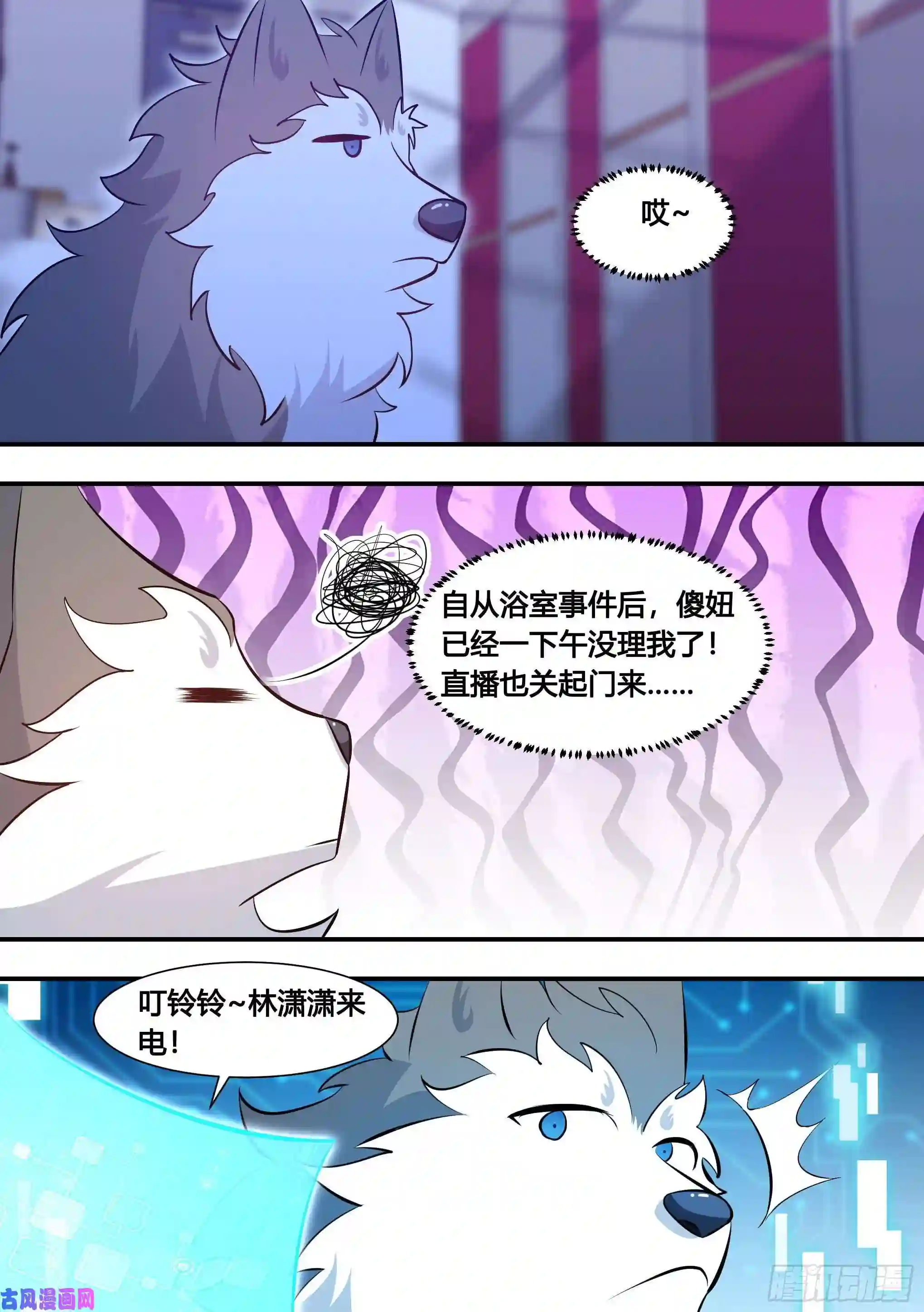 直播：女神家的哈士奇天秀133-林潇潇的过往