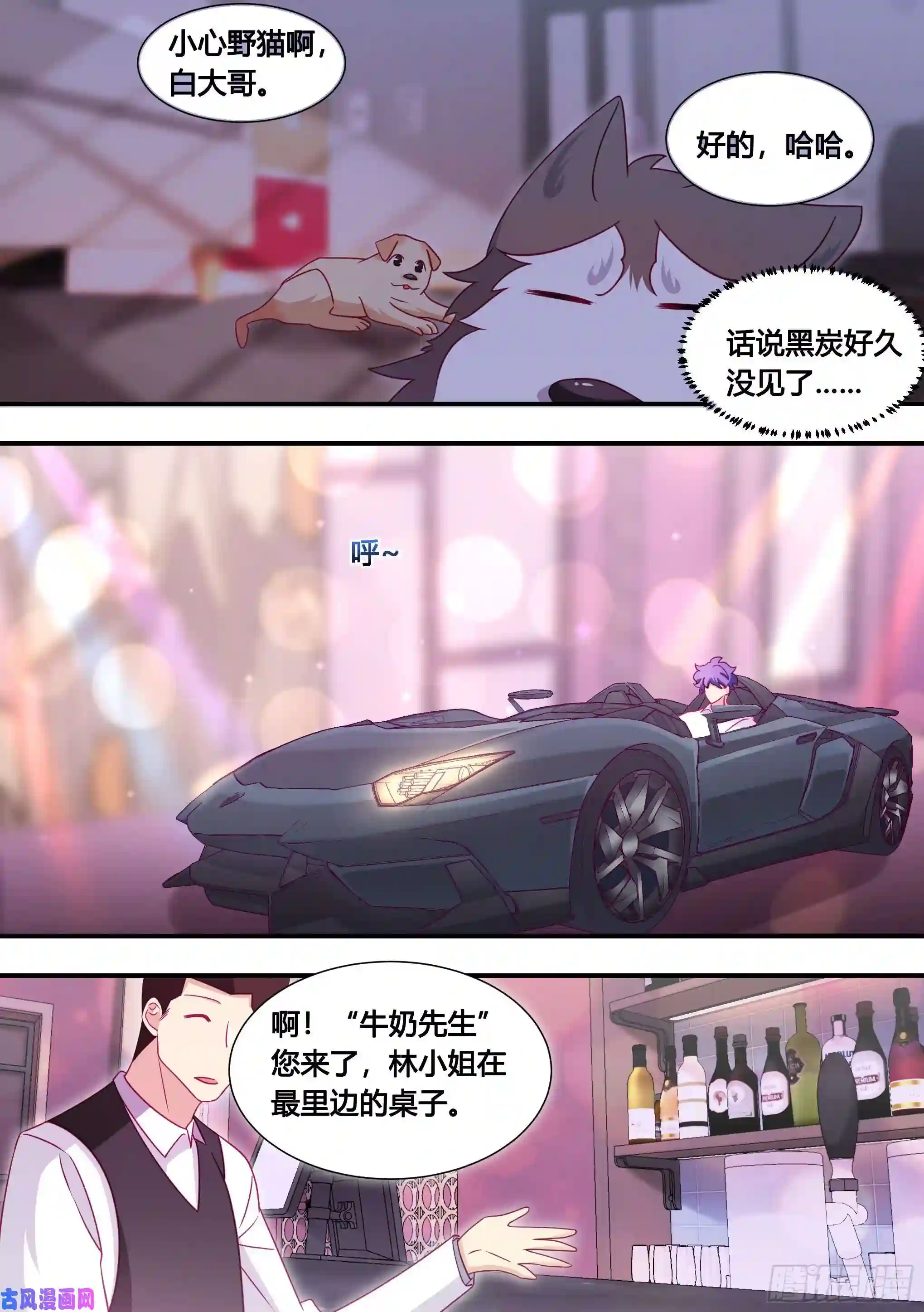 直播：女神家的哈士奇天秀133-林潇潇的过往