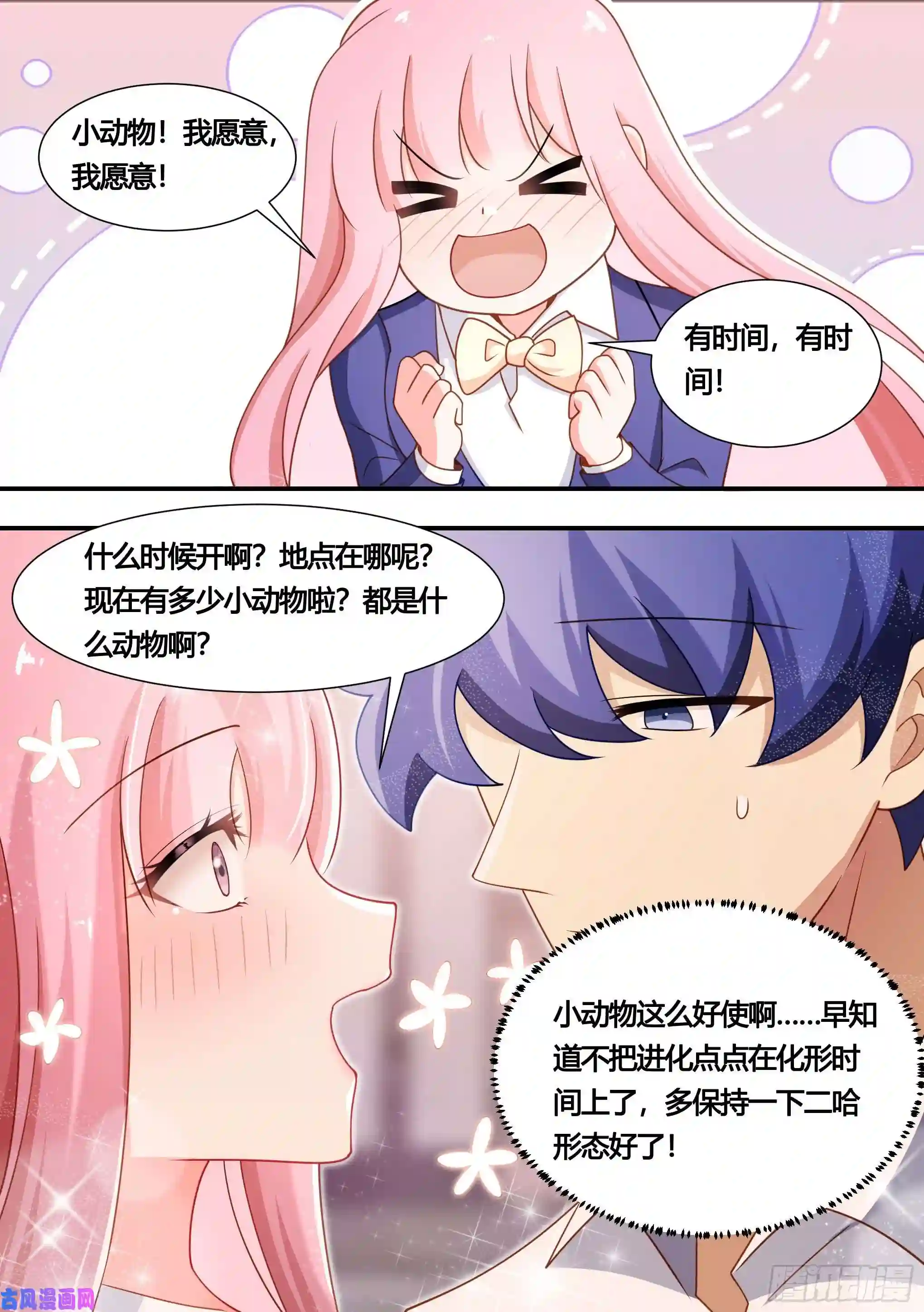 直播：女神家的哈士奇天秀136-化形时间还长