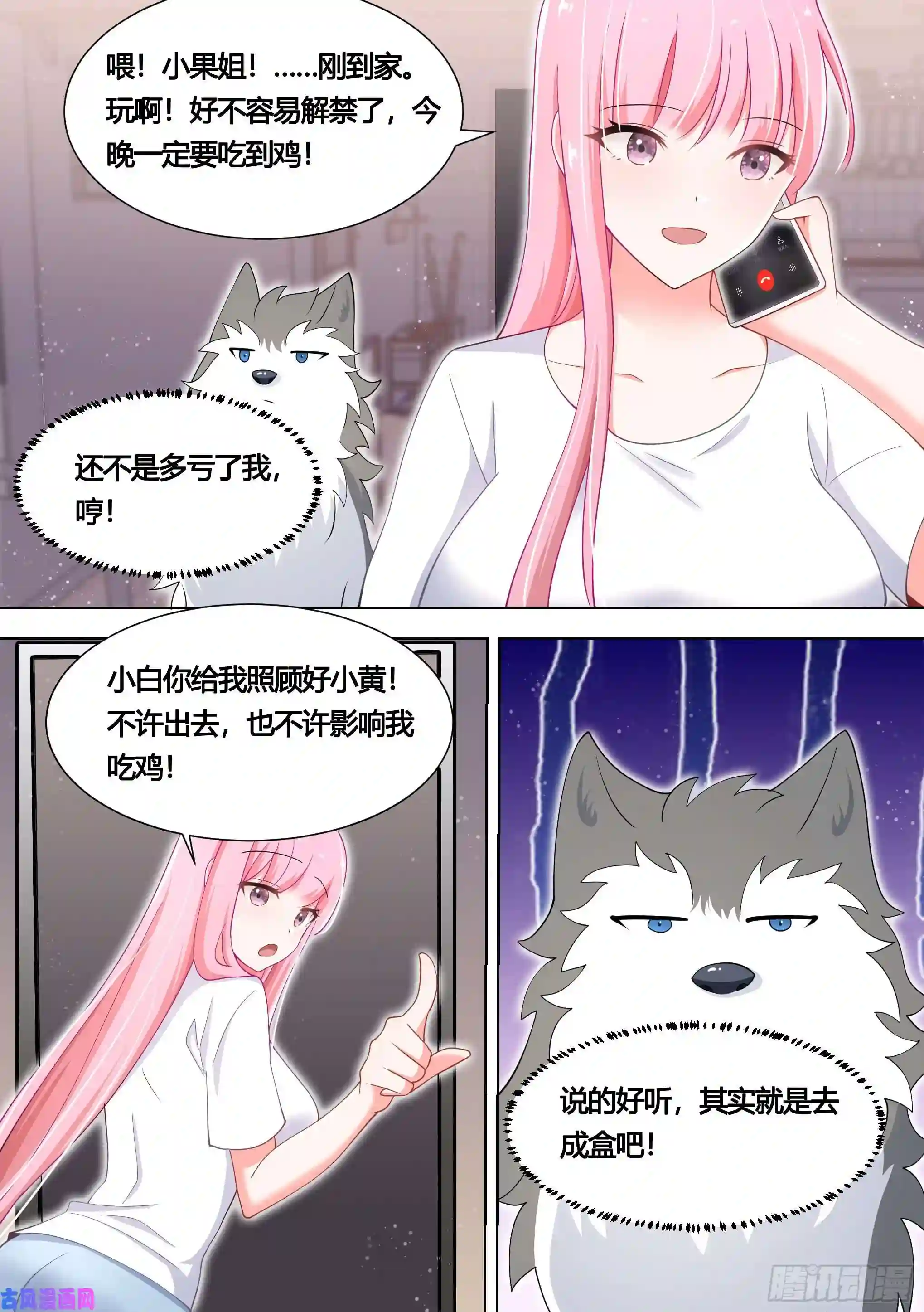 直播：女神家的哈士奇天秀139-一只想做咸鱼的狗