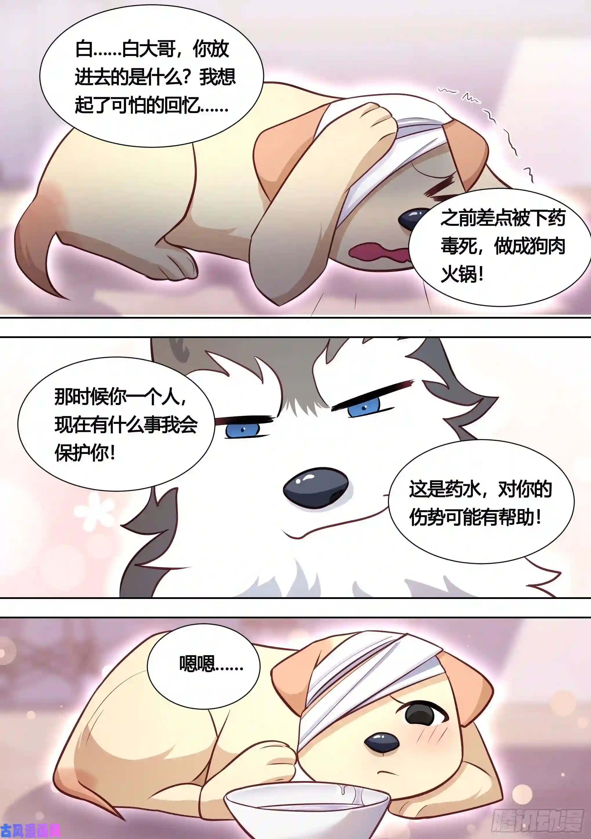 直播：女神家的哈士奇天秀139-一只想做咸鱼的狗