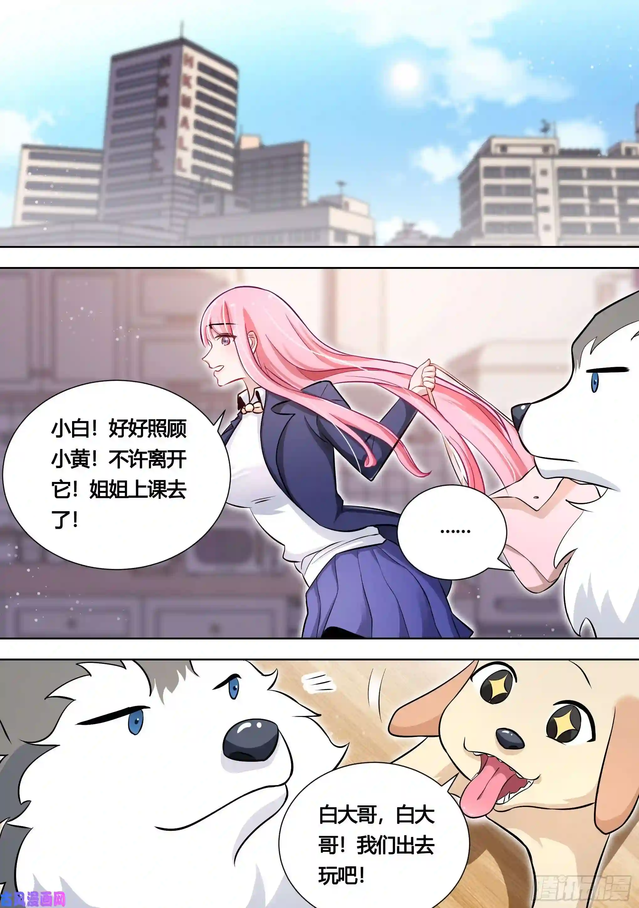 直播：女神家的哈士奇天秀140-关于小黄是个美人的事