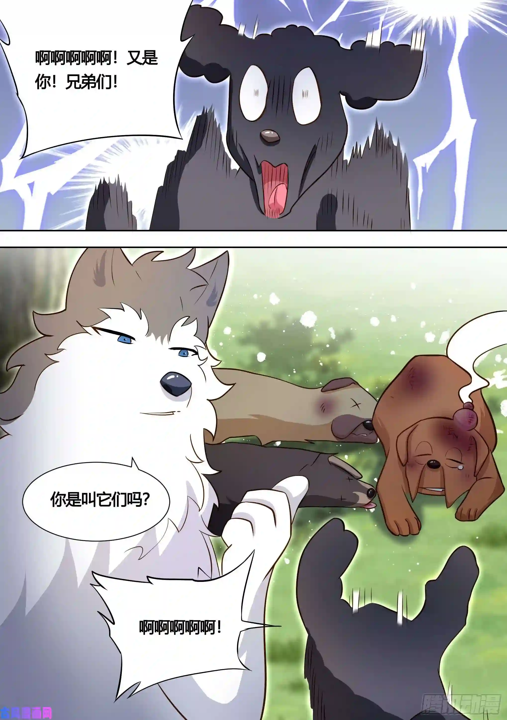 直播：女神家的哈士奇天秀140-关于小黄是个美人的事