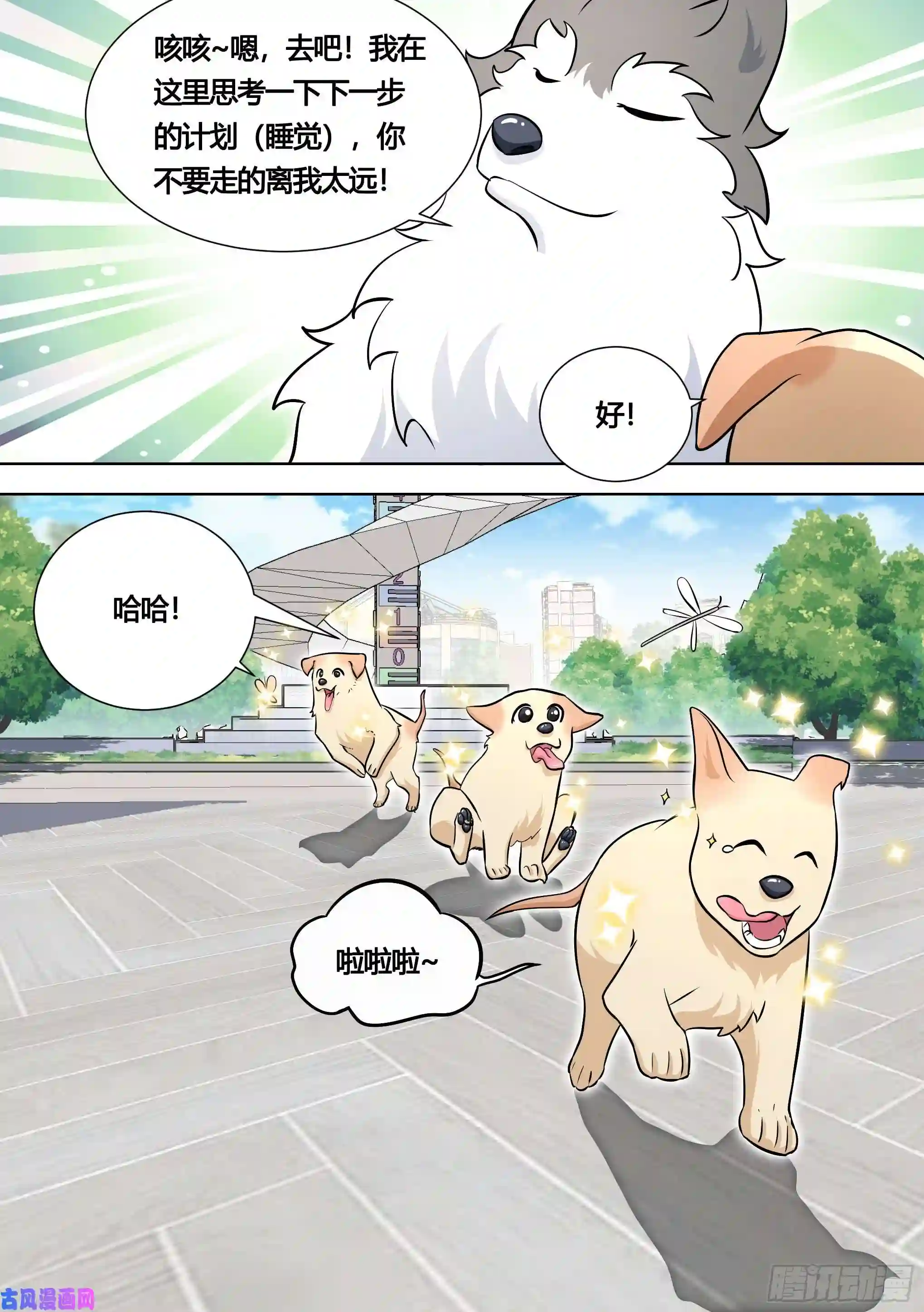 直播：女神家的哈士奇天秀140-关于小黄是个美人的事