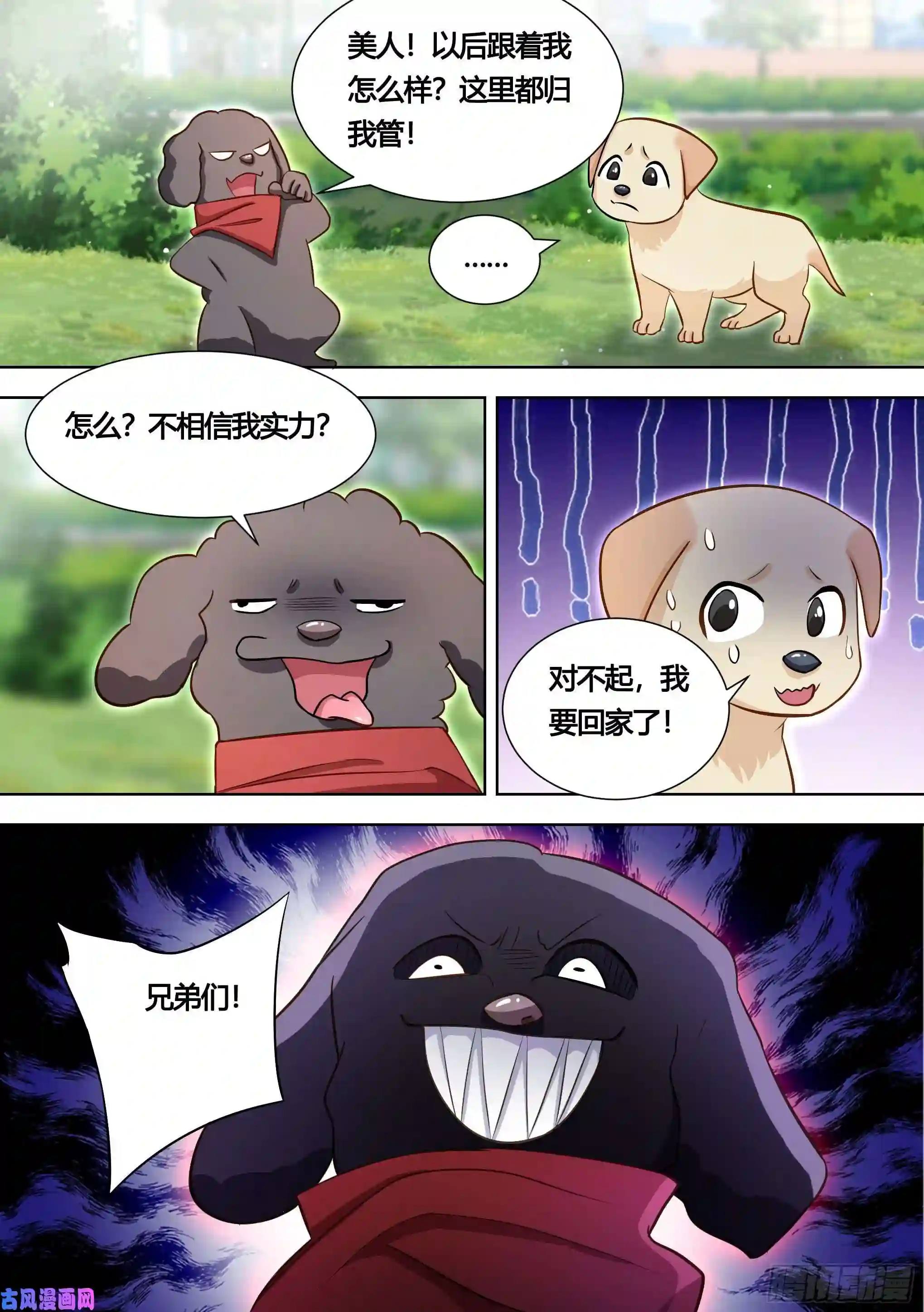 直播：女神家的哈士奇天秀140-关于小黄是个美人的事