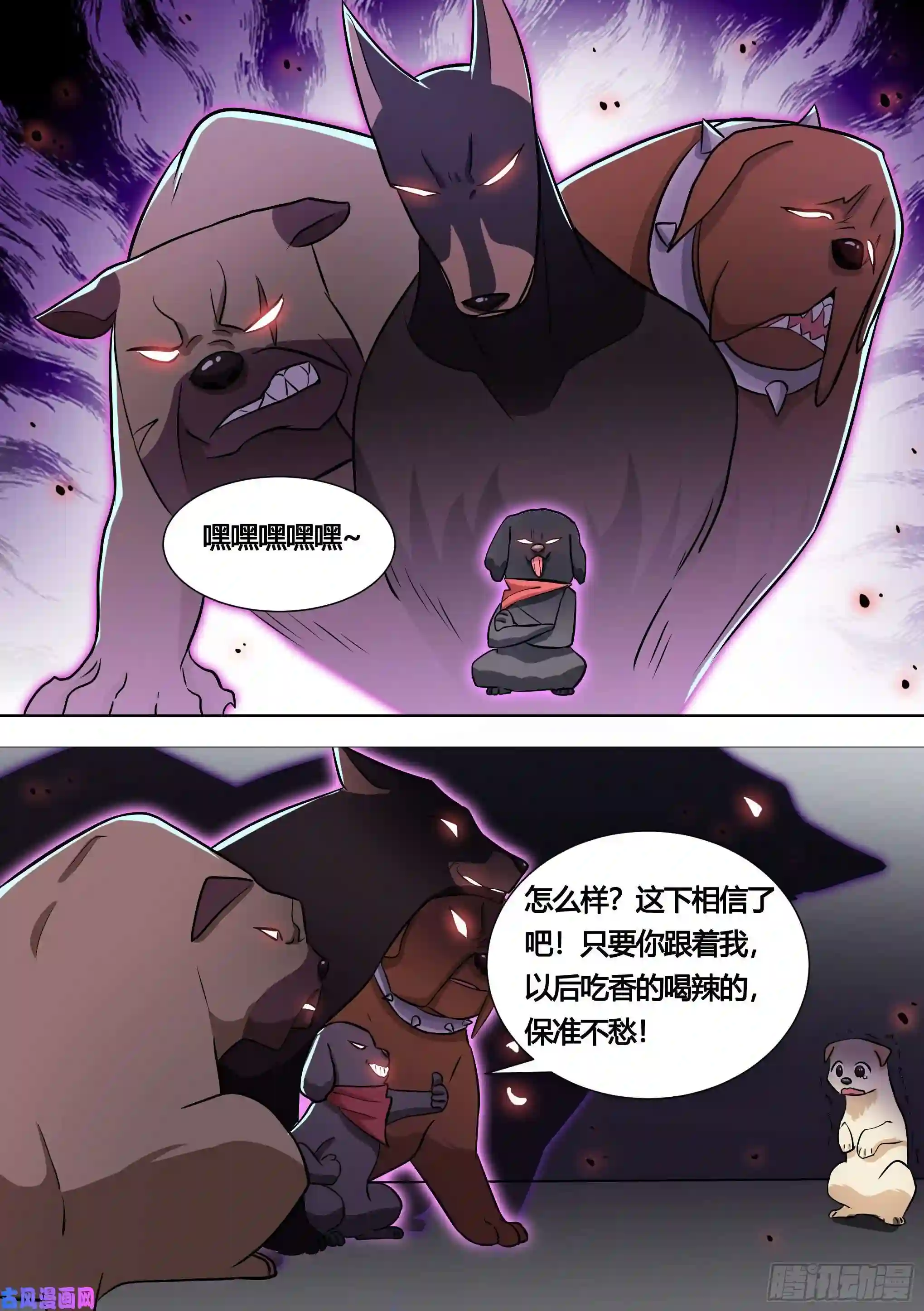 直播：女神家的哈士奇天秀140-关于小黄是个美人的事