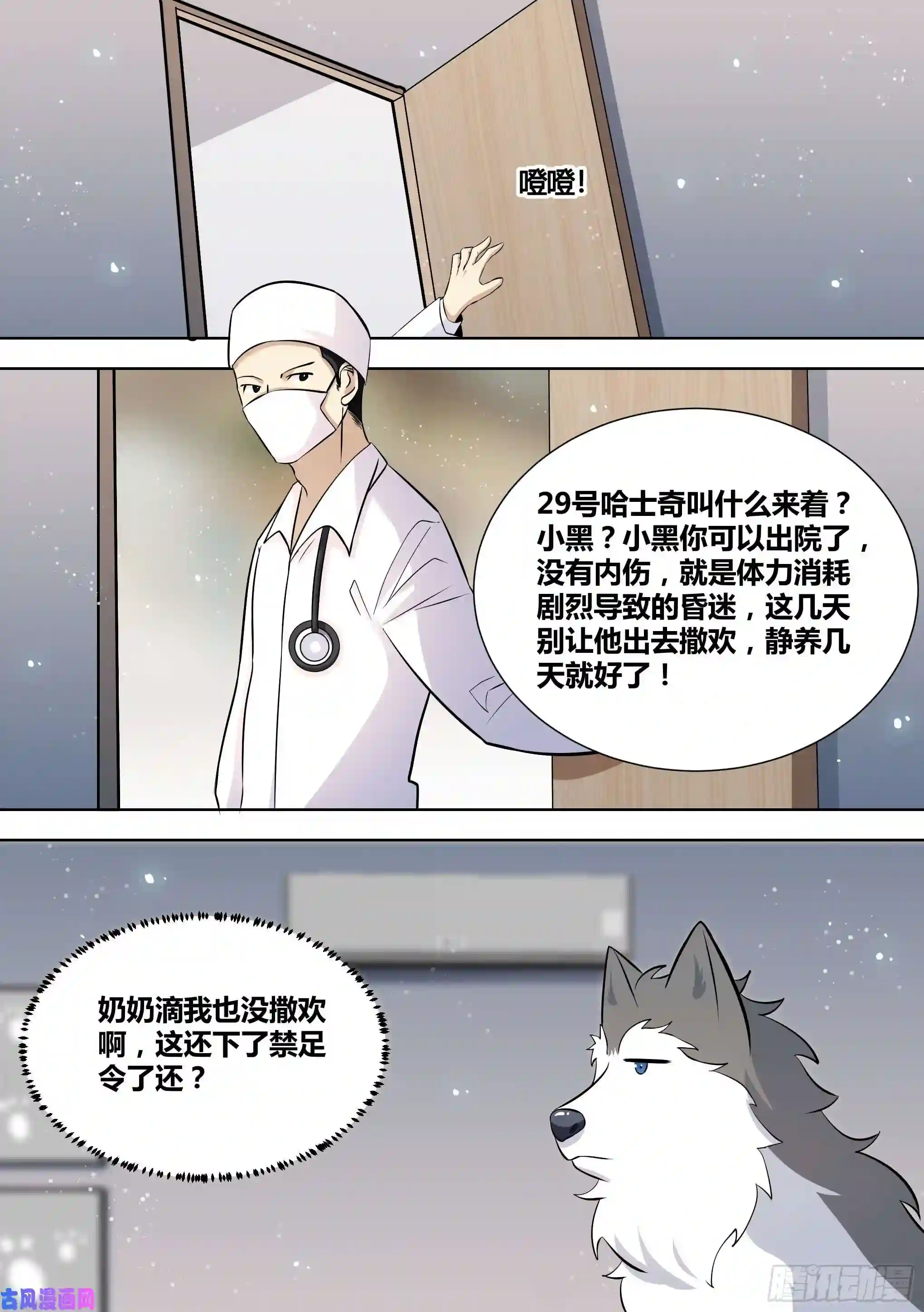 直播：女神家的哈士奇天秀144-小白你没事太好了！