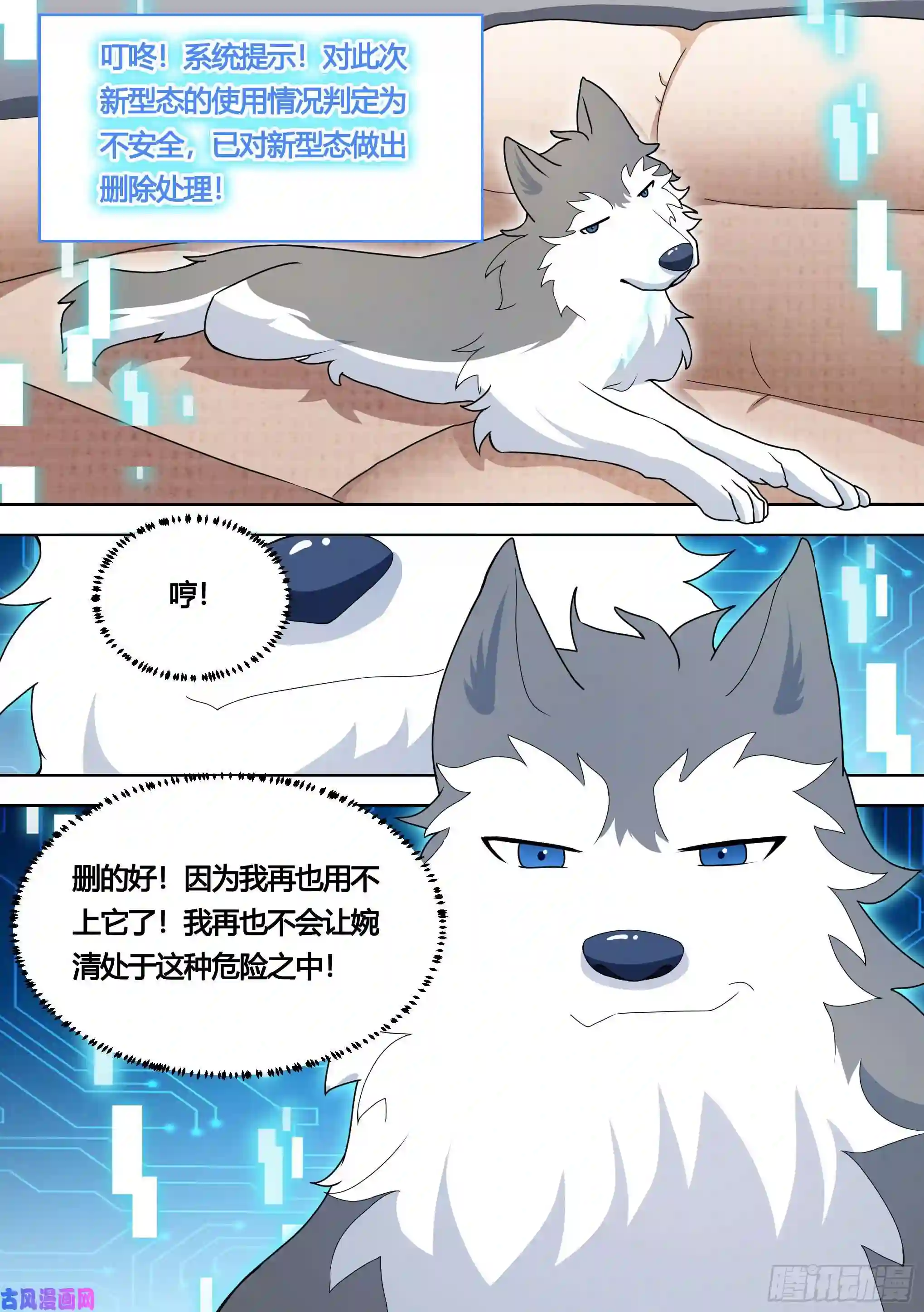 直播：女神家的哈士奇天秀144-小白你没事太好了！