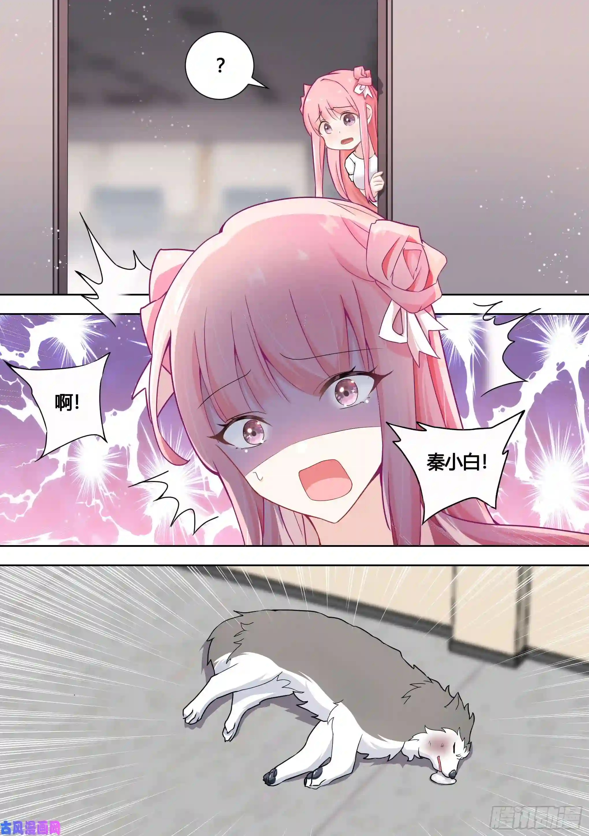 直播：女神家的哈士奇天秀144-小白你没事太好了！