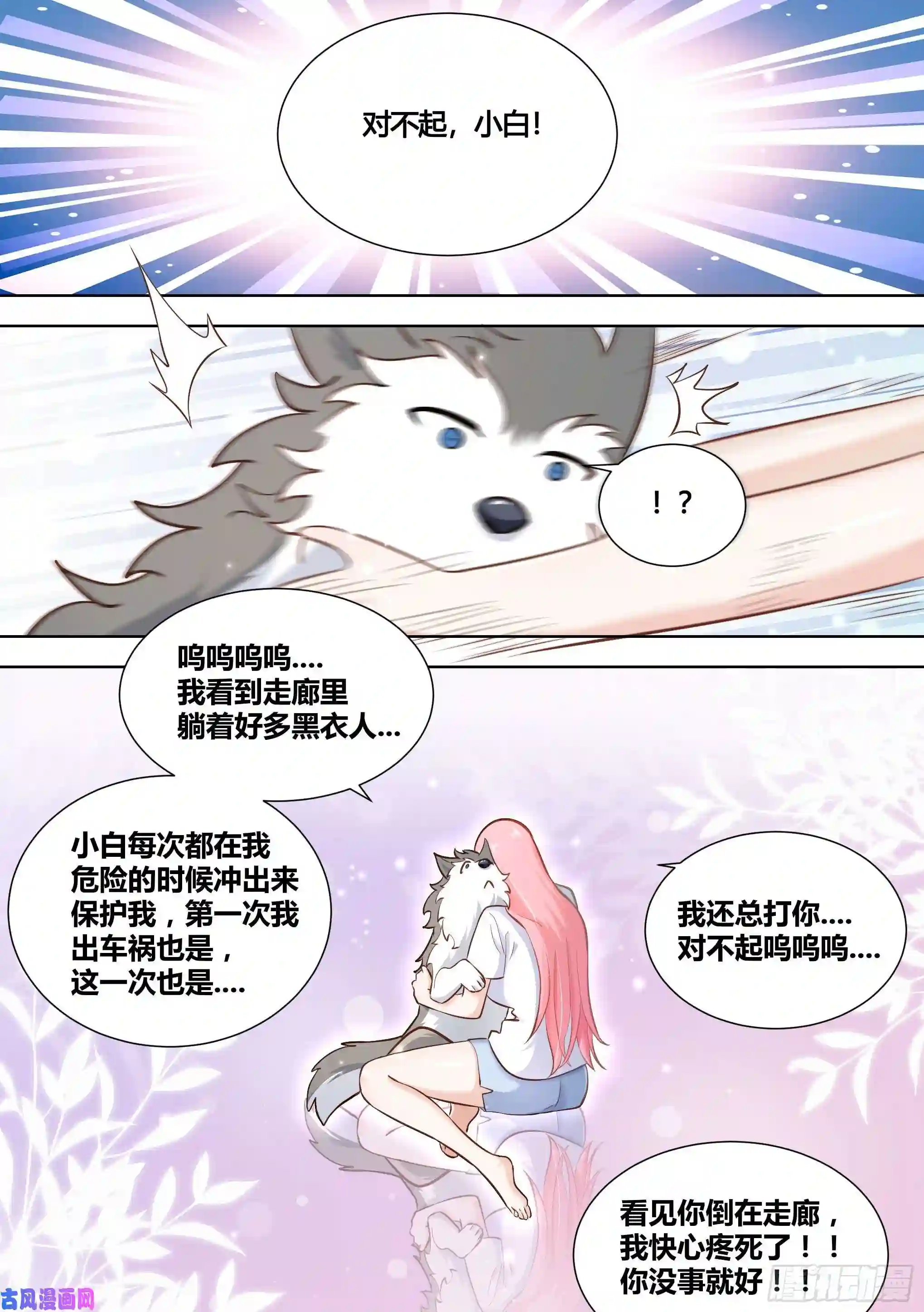 直播：女神家的哈士奇天秀144-小白你没事太好了！