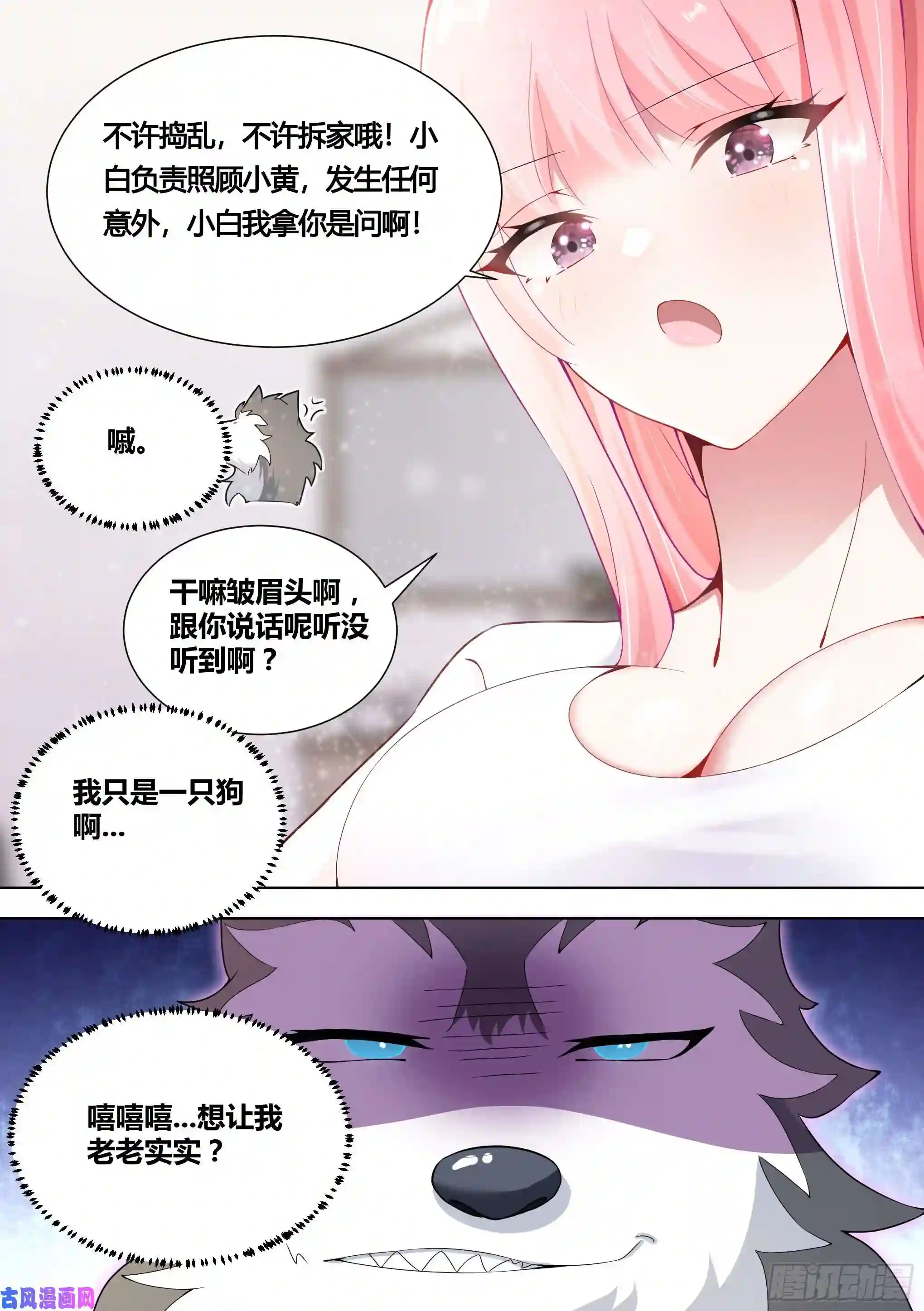 直播：女神家的哈士奇天秀146-带小黄住酒店！