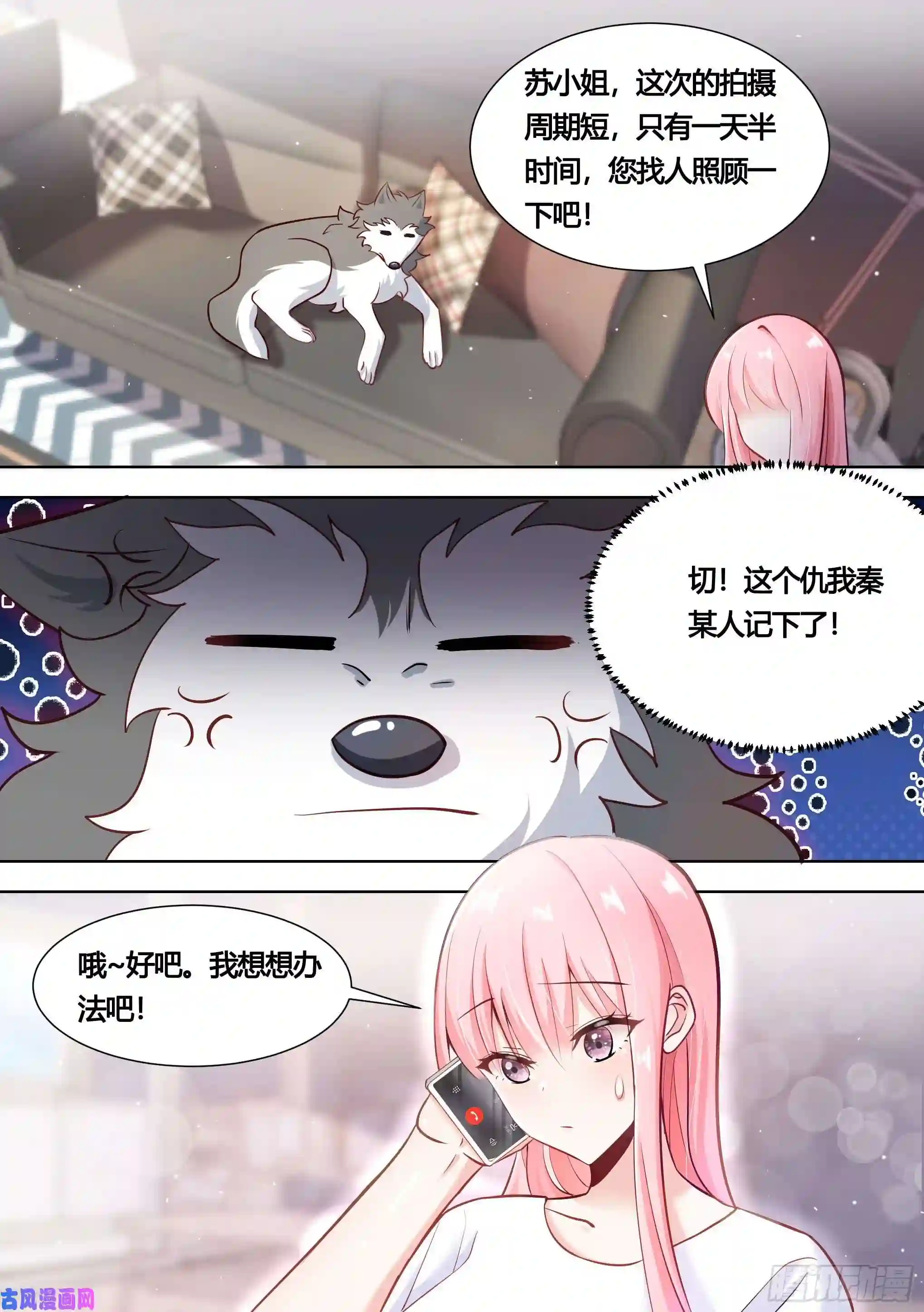 直播：女神家的哈士奇天秀146-带小黄住酒店！