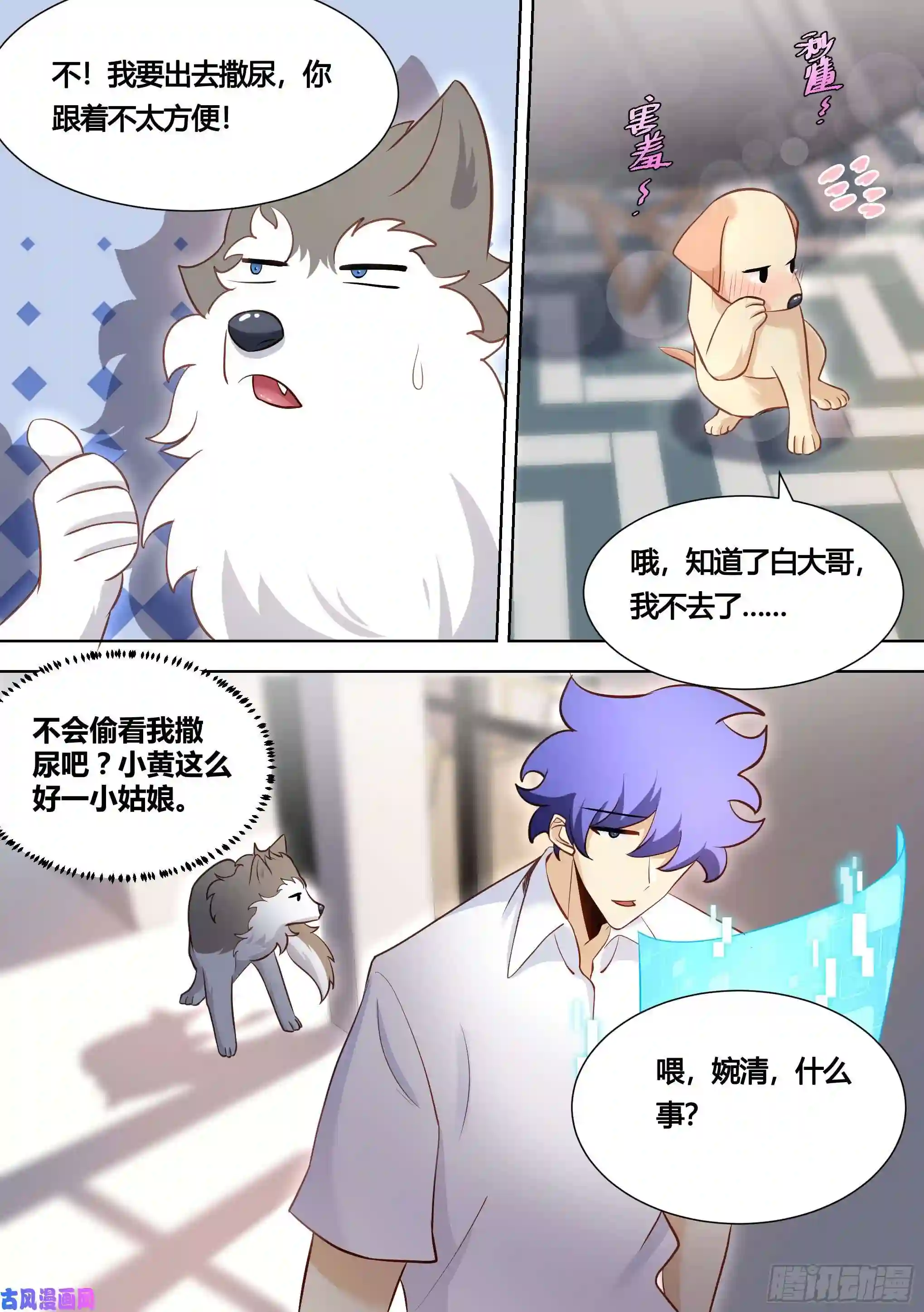 直播：女神家的哈士奇天秀146-带小黄住酒店！