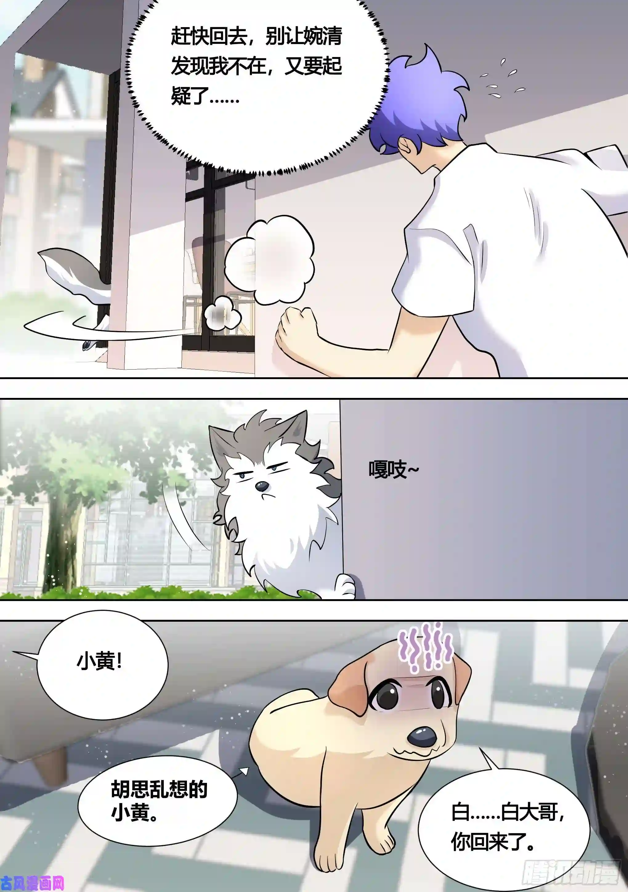 直播：女神家的哈士奇天秀146-带小黄住酒店！