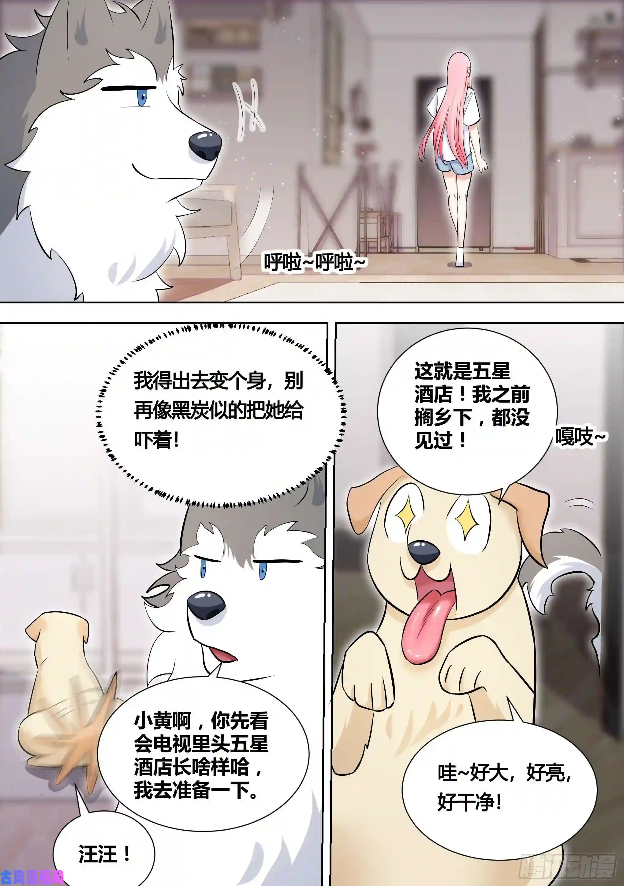 直播：女神家的哈士奇天秀147-快把裙子脱了