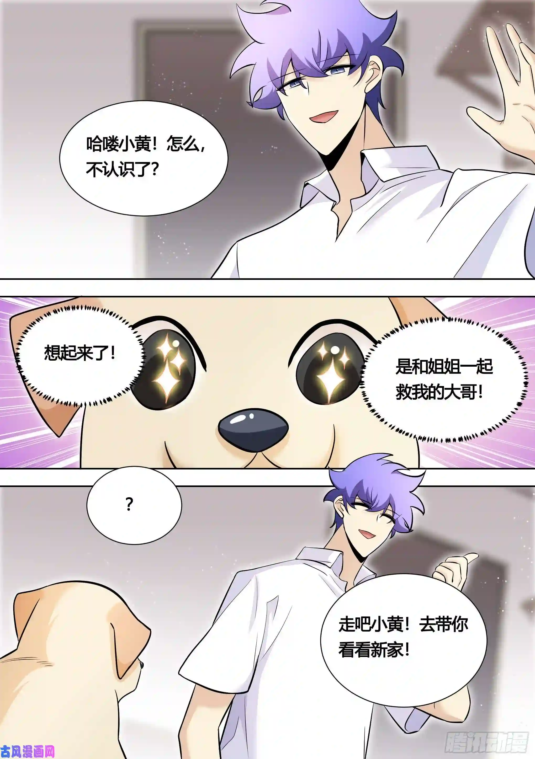 直播：女神家的哈士奇天秀147-快把裙子脱了