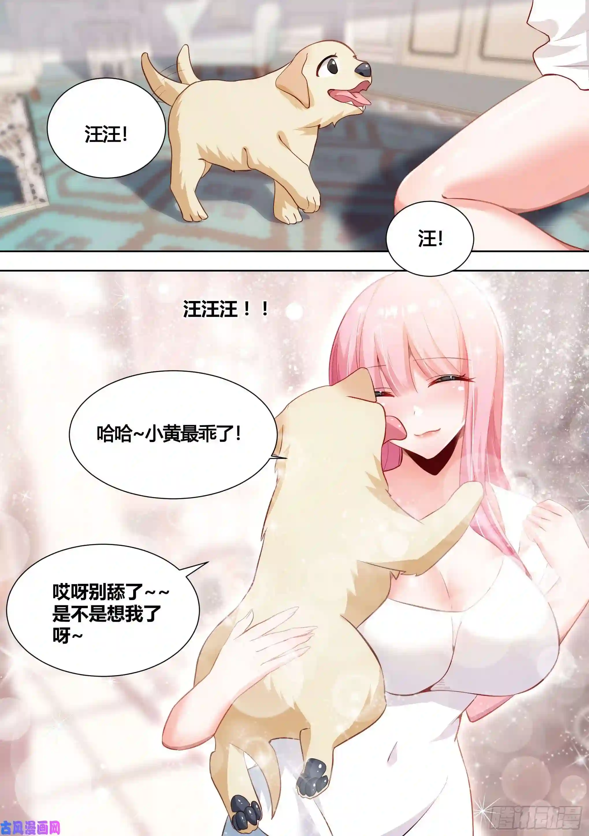 直播：女神家的哈士奇天秀150-姐姐，话来了！