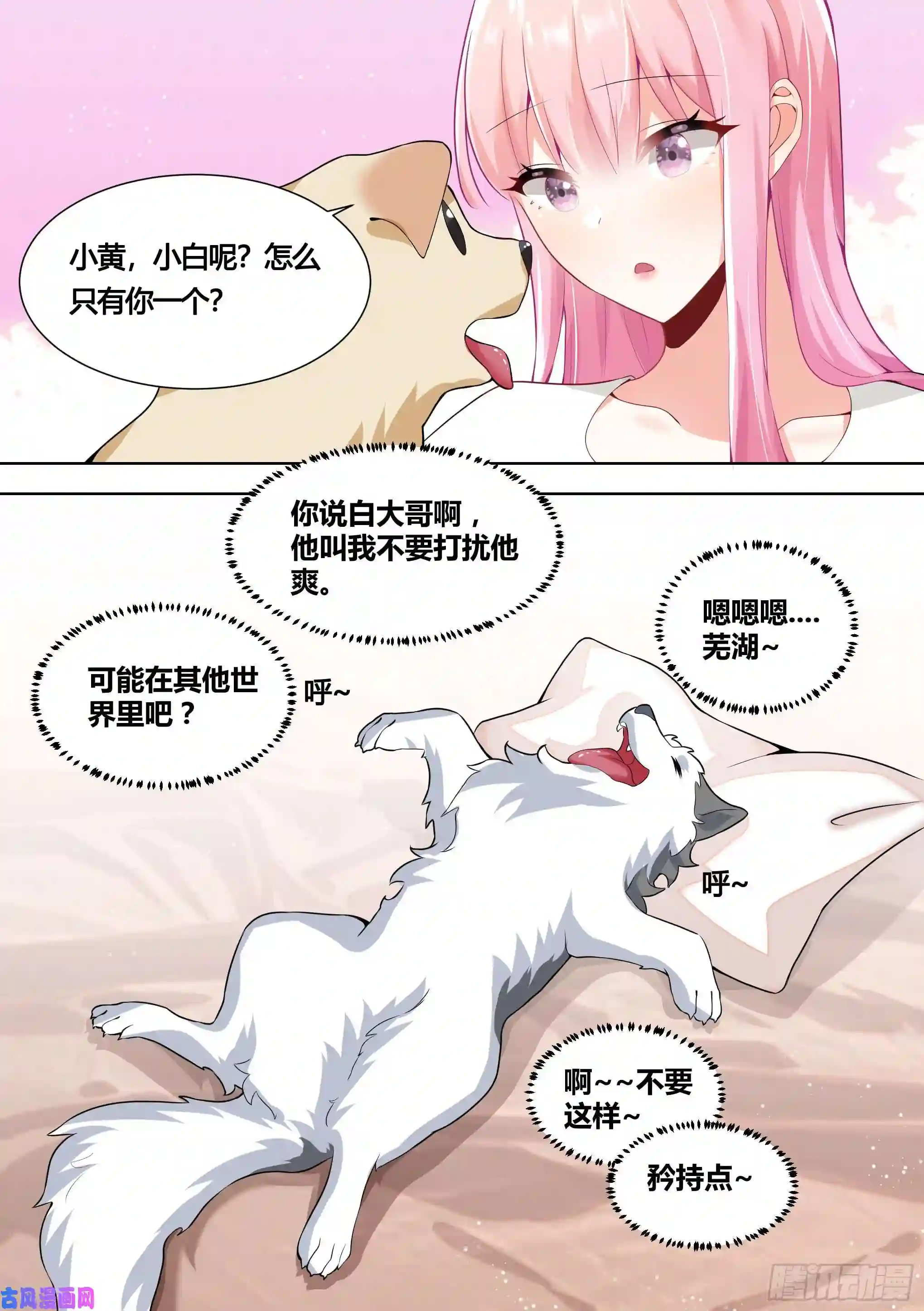 直播：女神家的哈士奇天秀150-姐姐，话来了！