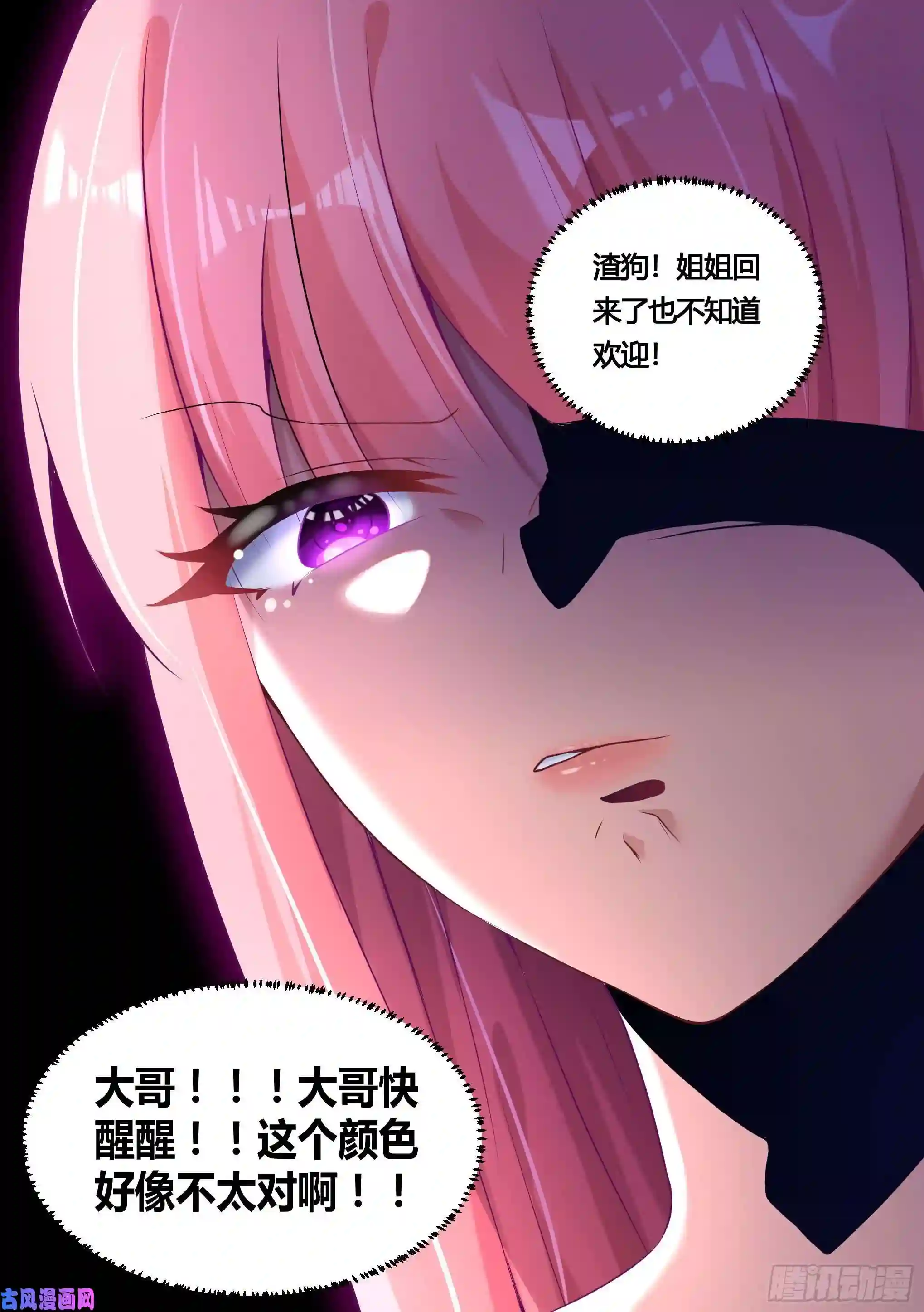 直播：女神家的哈士奇天秀150-姐姐，话来了！