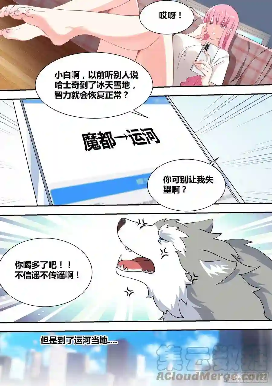 直播：女神家的哈士奇天秀52-牛牛黑炭