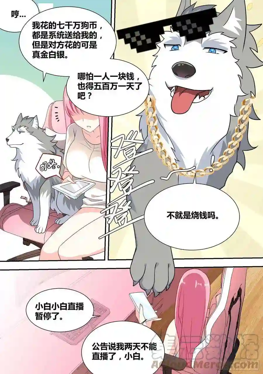 直播：女神家的哈士奇天秀52-牛牛黑炭