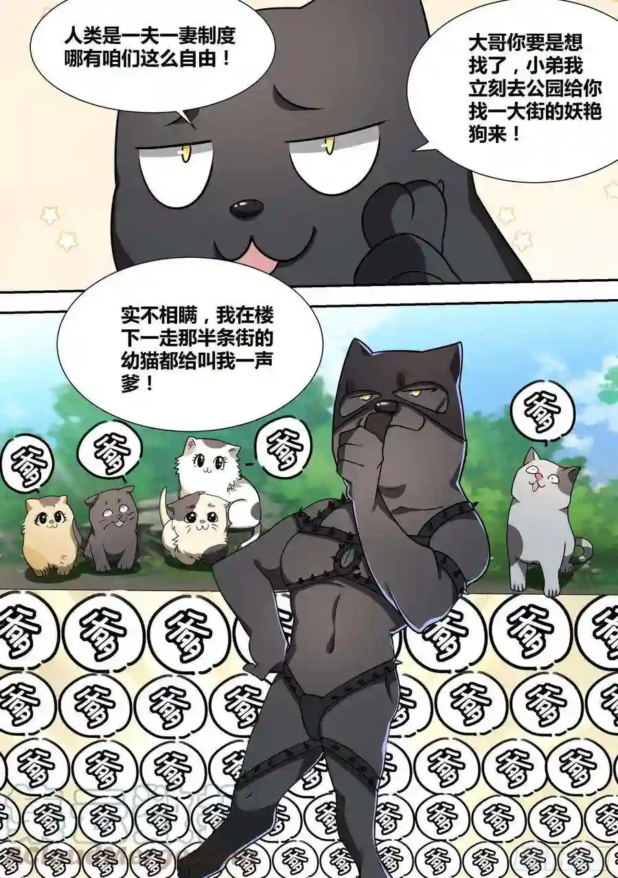 直播：女神家的哈士奇天秀52-牛牛黑炭