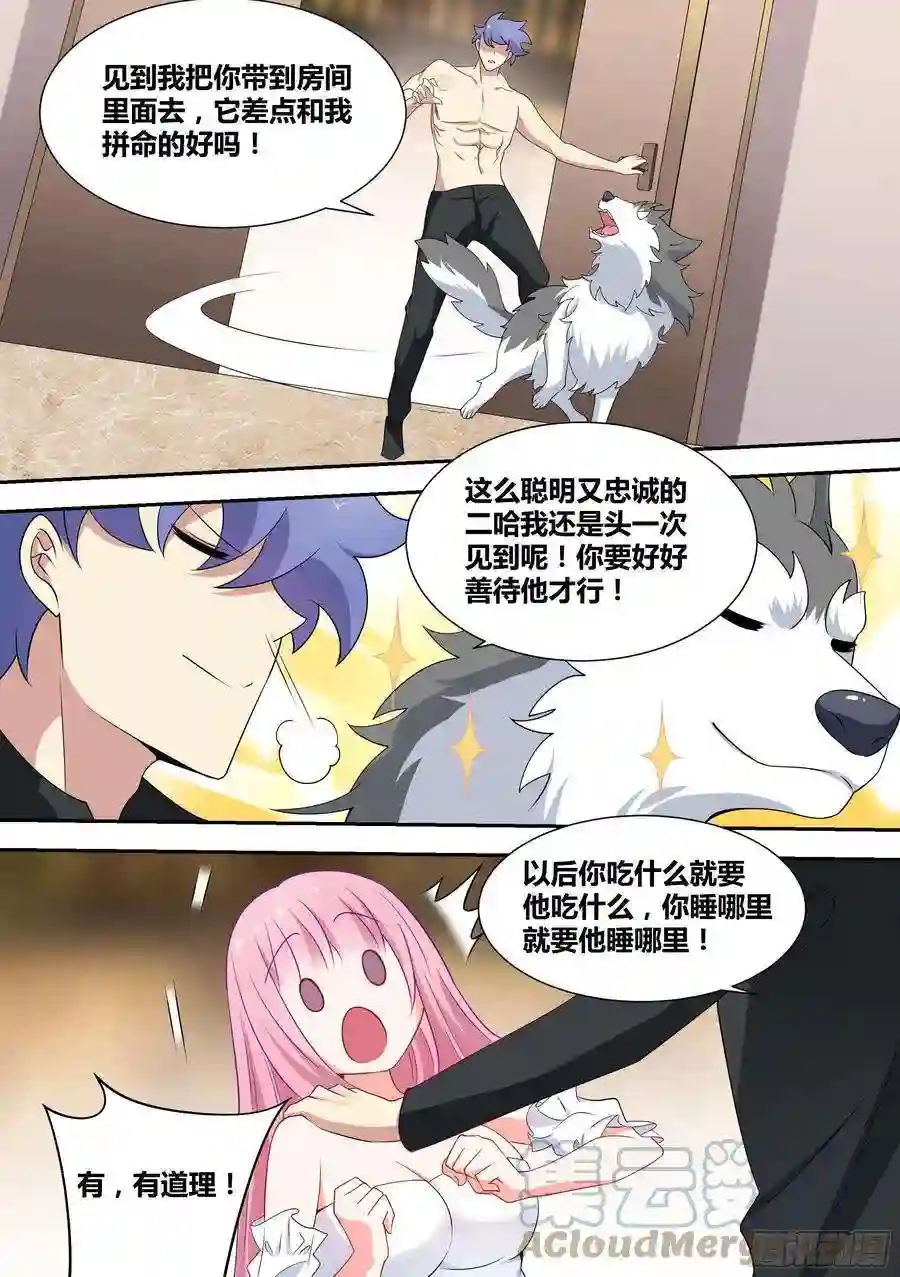 直播：女神家的哈士奇天秀59-小姑娘还有两幅面孔？