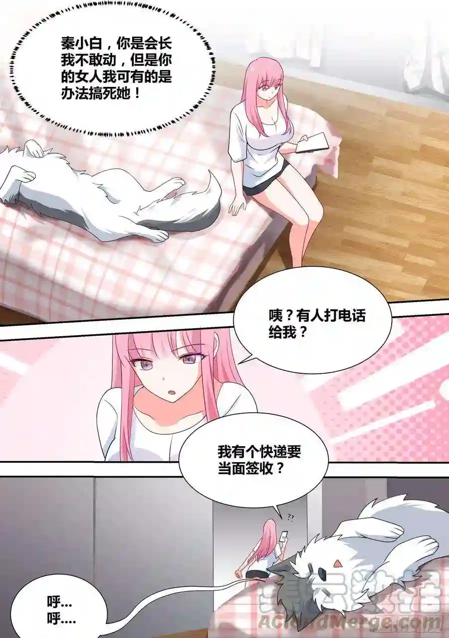 直播：女神家的哈士奇天秀59-婉清，危险！