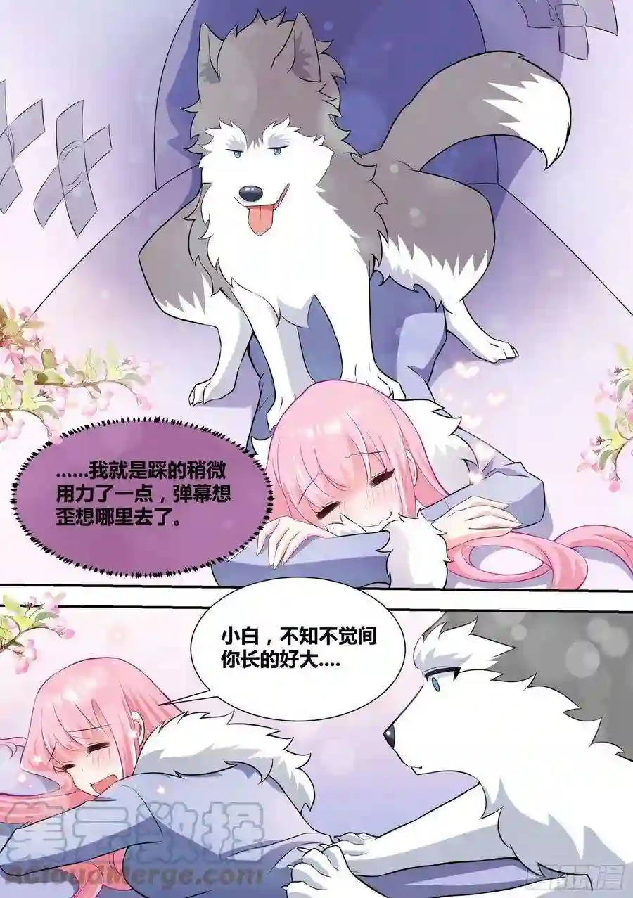 直播：女神家的哈士奇天秀75-巨坑出现