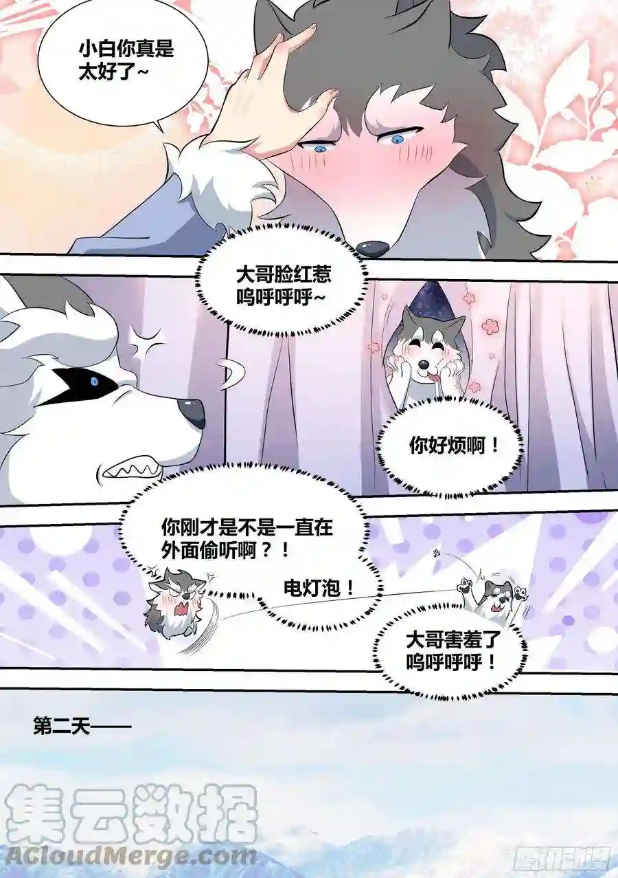 直播：女神家的哈士奇天秀75-巨坑出现