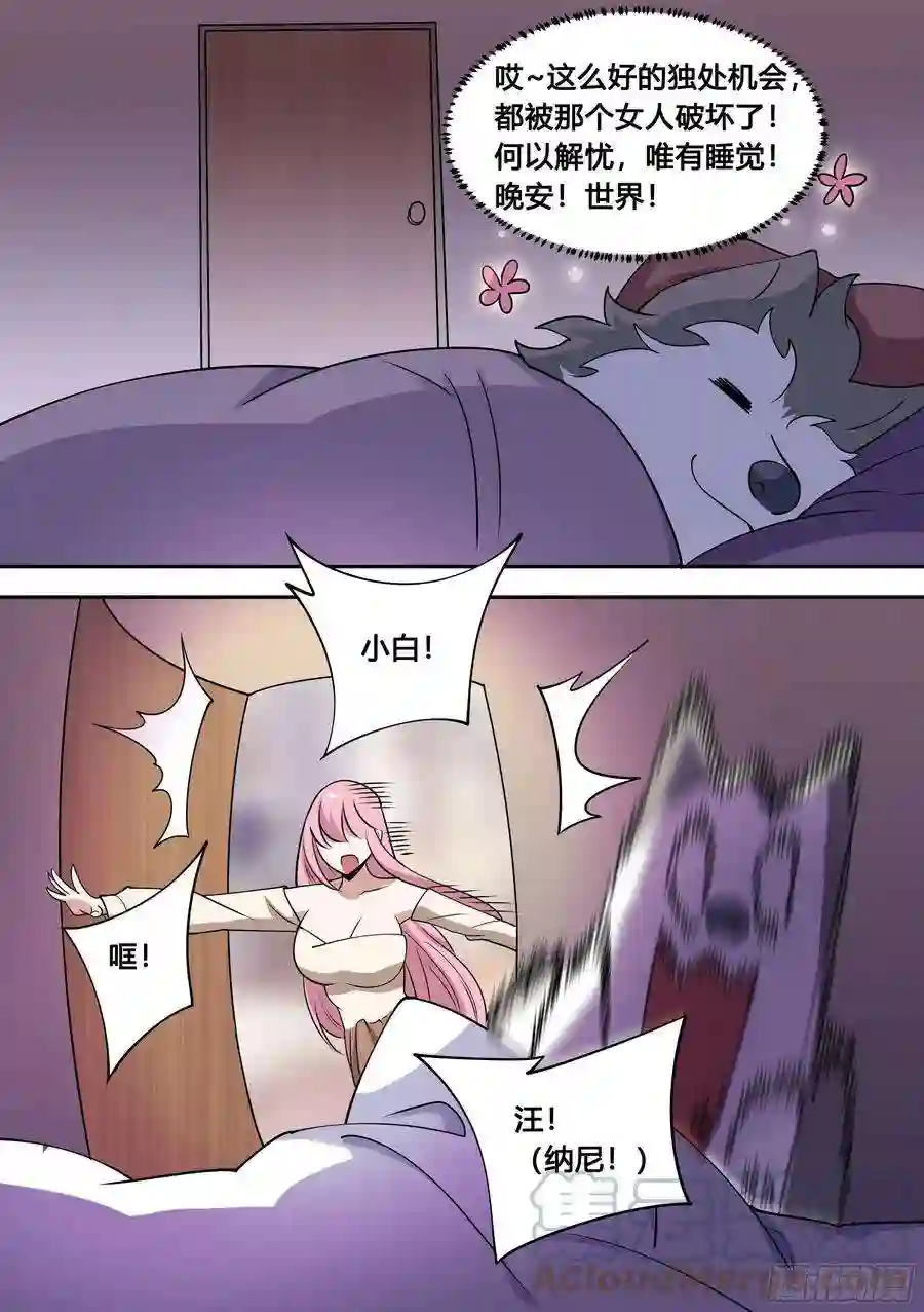 直播：女神家的哈士奇天秀86