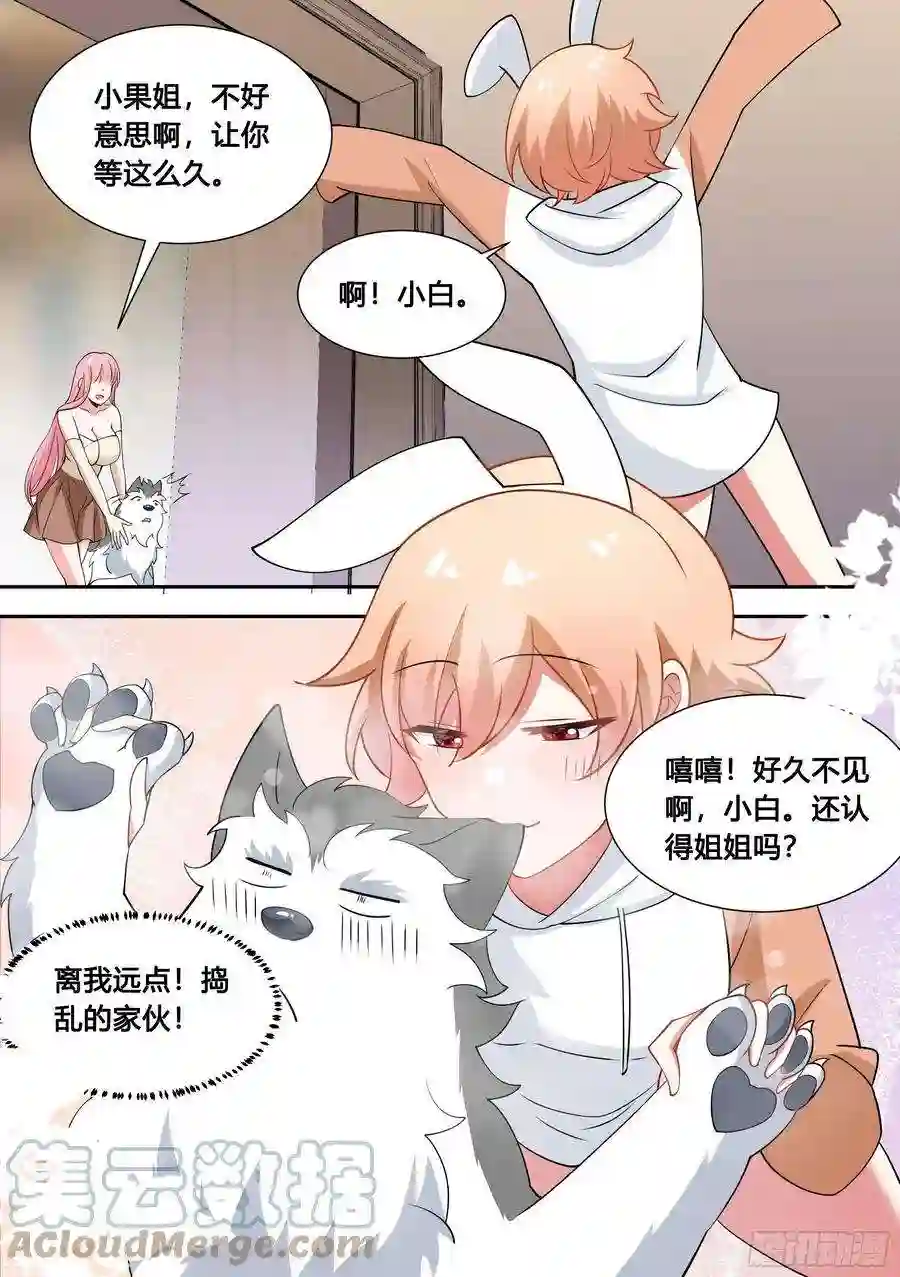 直播：女神家的哈士奇天秀86